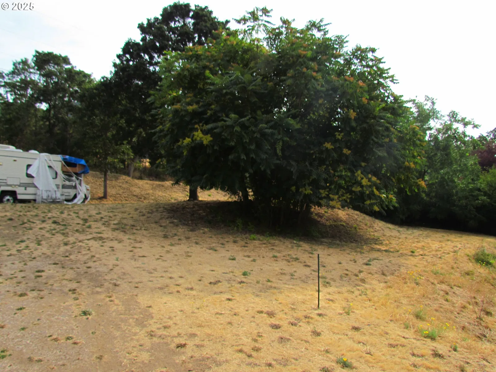 Lot off Vine St, White Salmon, Wa 98672 — photograph 14