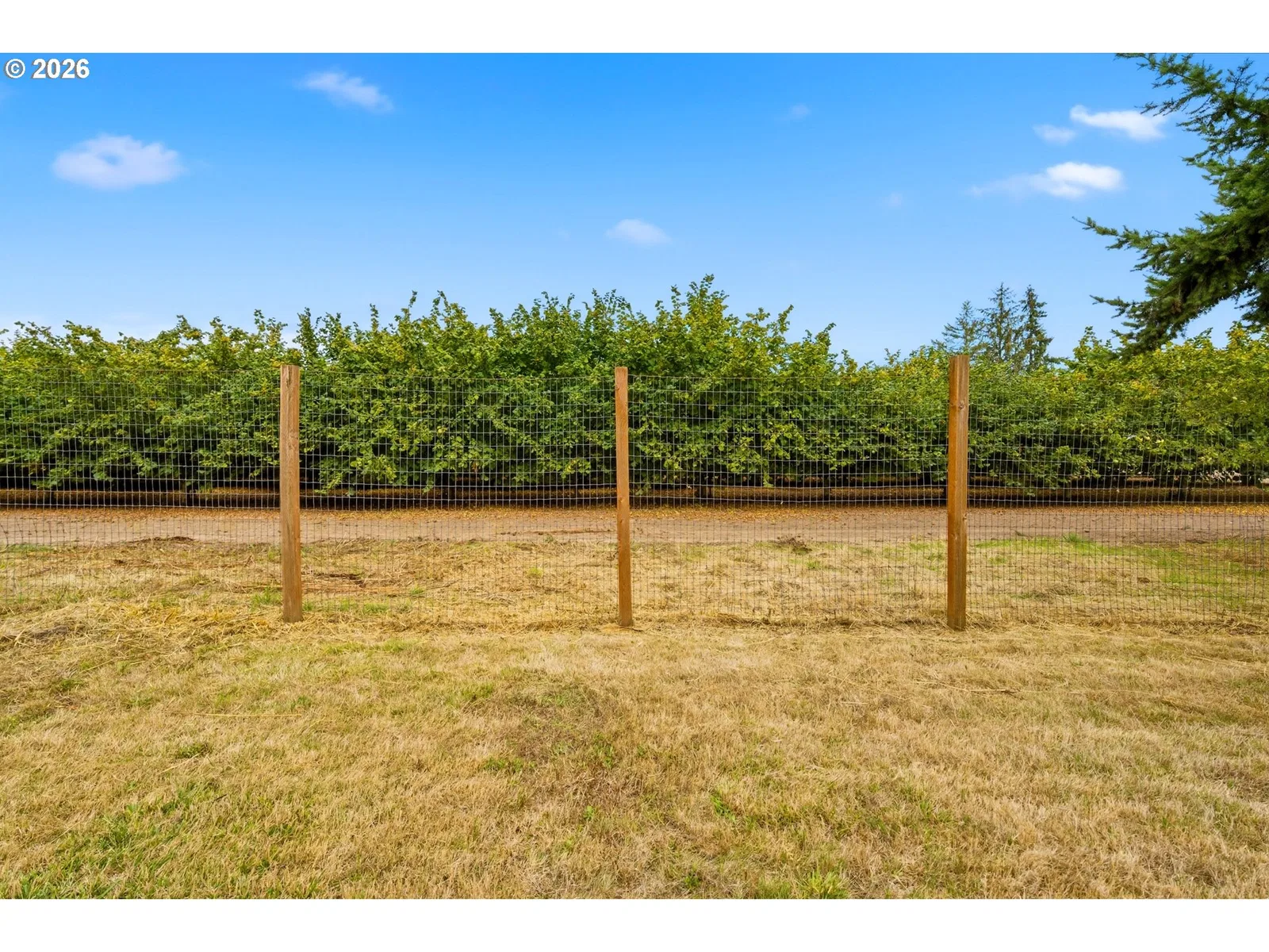 9460 SW Bayou Dr, McMinnville, OR 97128 — photograph 41