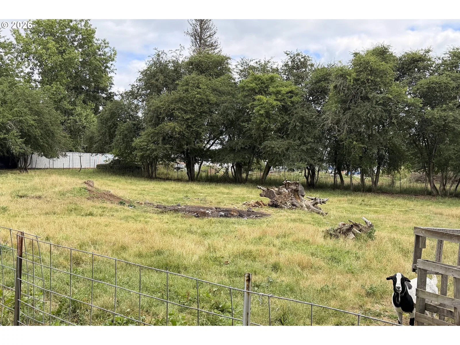 29922 S Hult Rd, Colton, OR 97017 — photograph 40