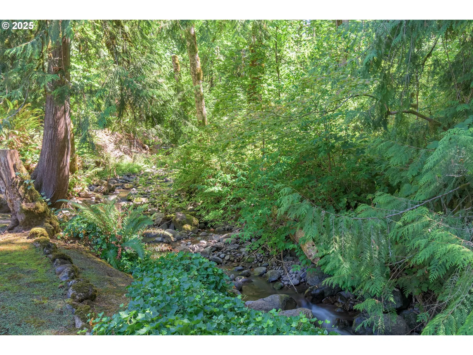 41886 Deerhorn Rd, Springfield, OR 97478 — photograph 40
