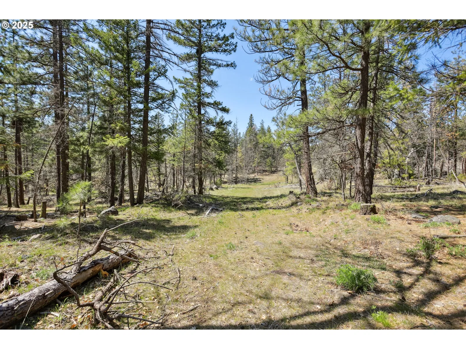 Nka Tyler Rd, Goldendale, Wa 98620 — photograph 10