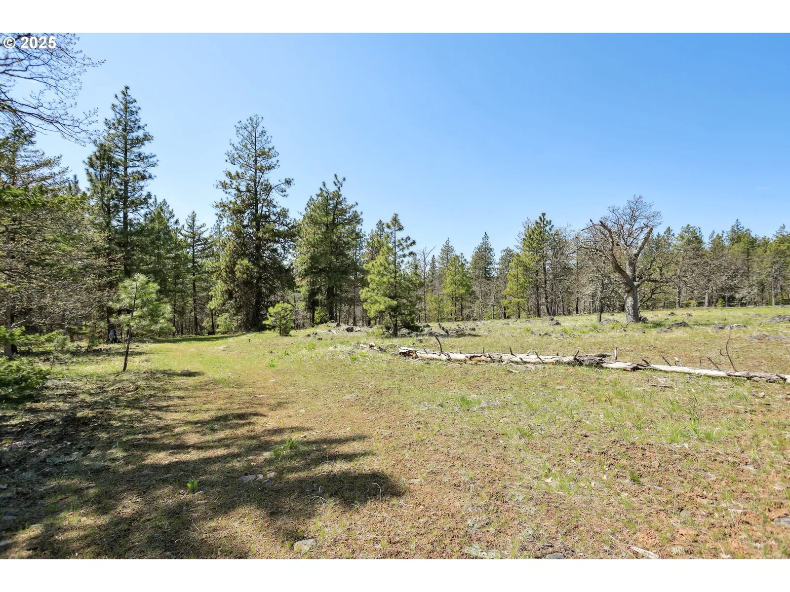 Nka Tyler Rd, Goldendale, Wa 98620 — photograph 12