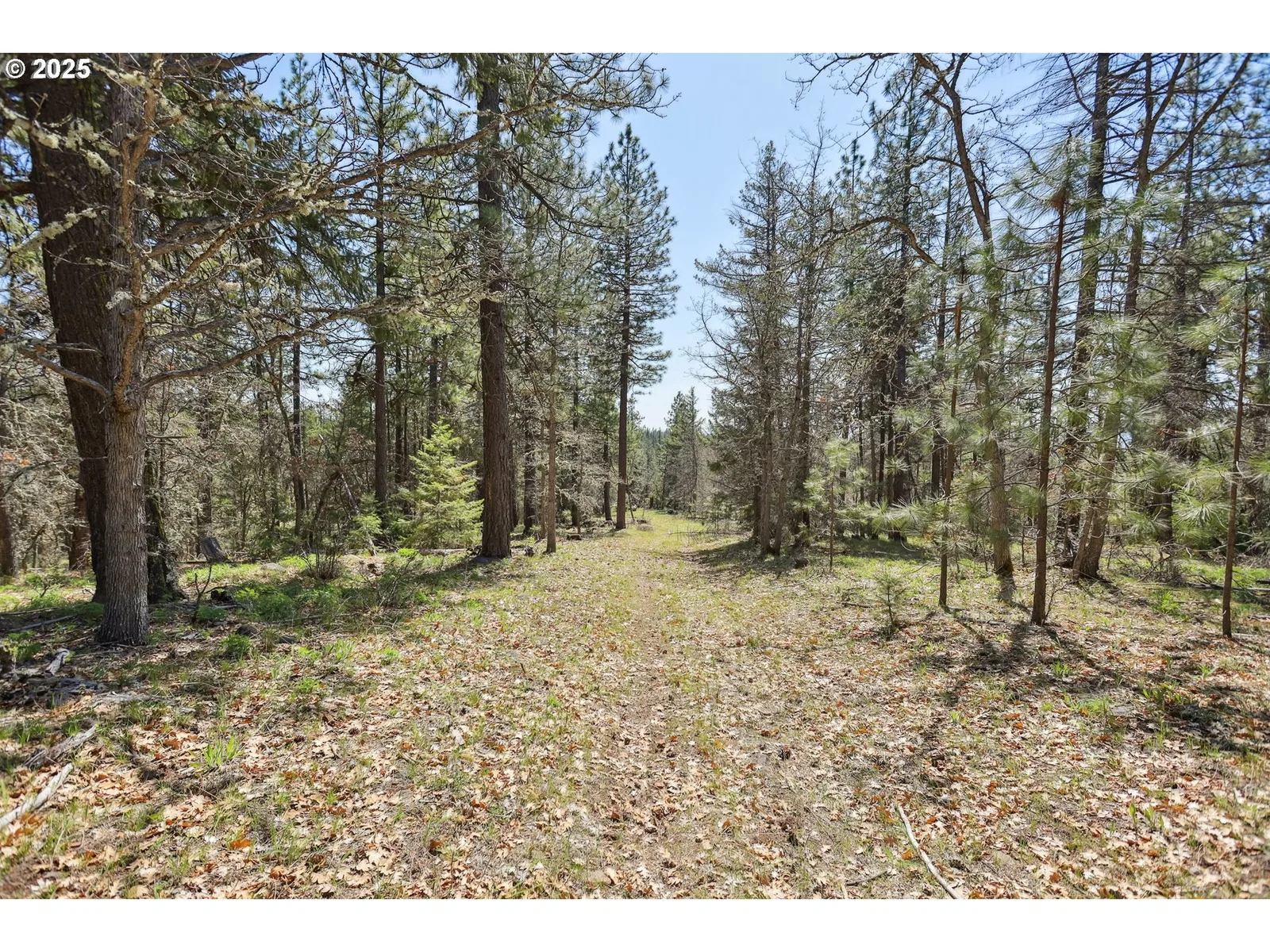 Nka Tyler Rd, Goldendale, Wa 98620 — photograph 14