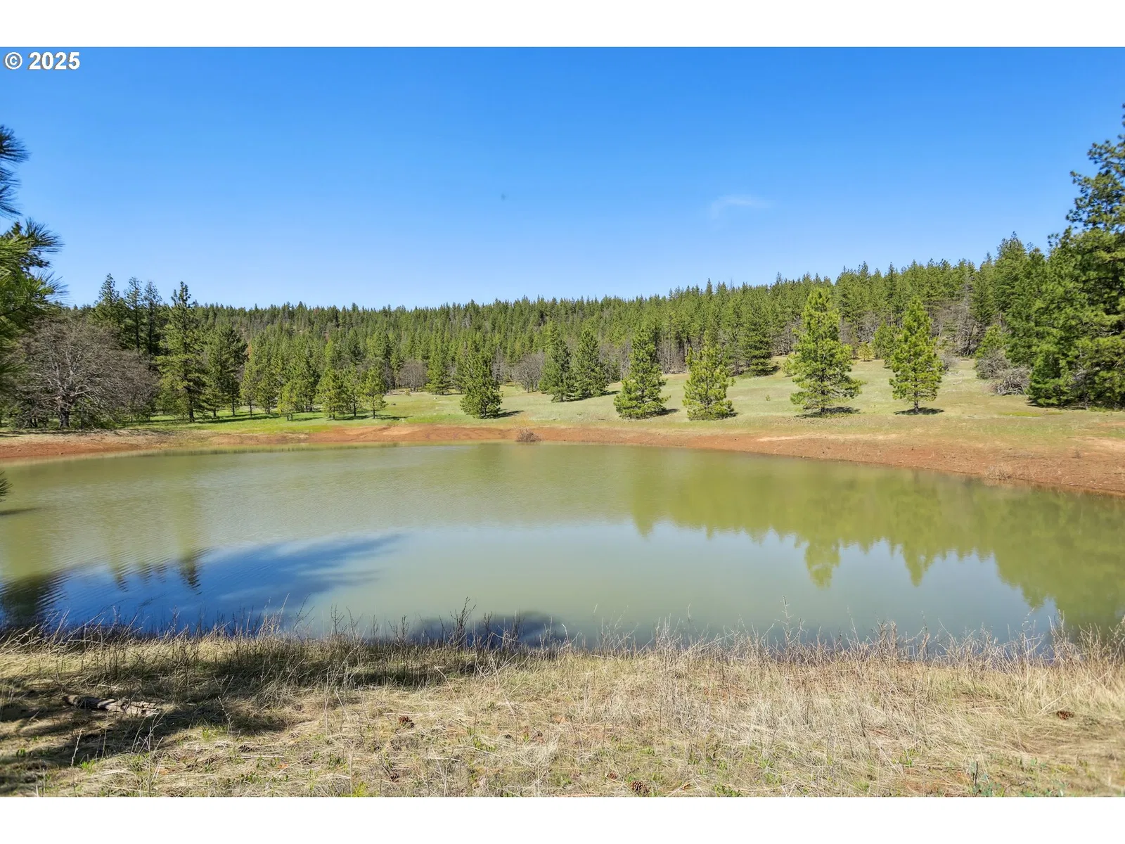 Nka Tyler Rd, Goldendale, Wa 98620 — photograph 17
