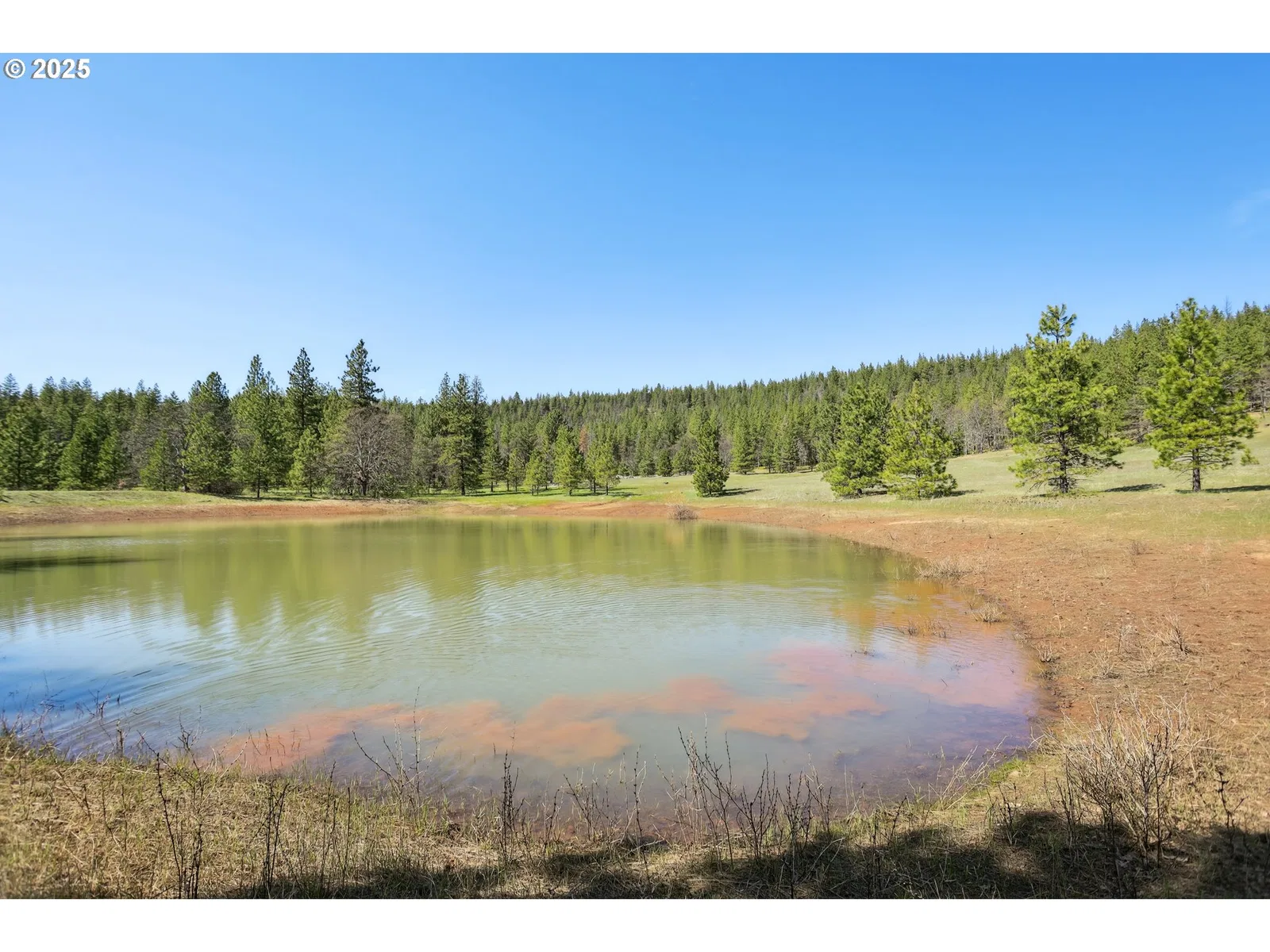 Nka Tyler Rd, Goldendale, Wa 98620 — photograph 20