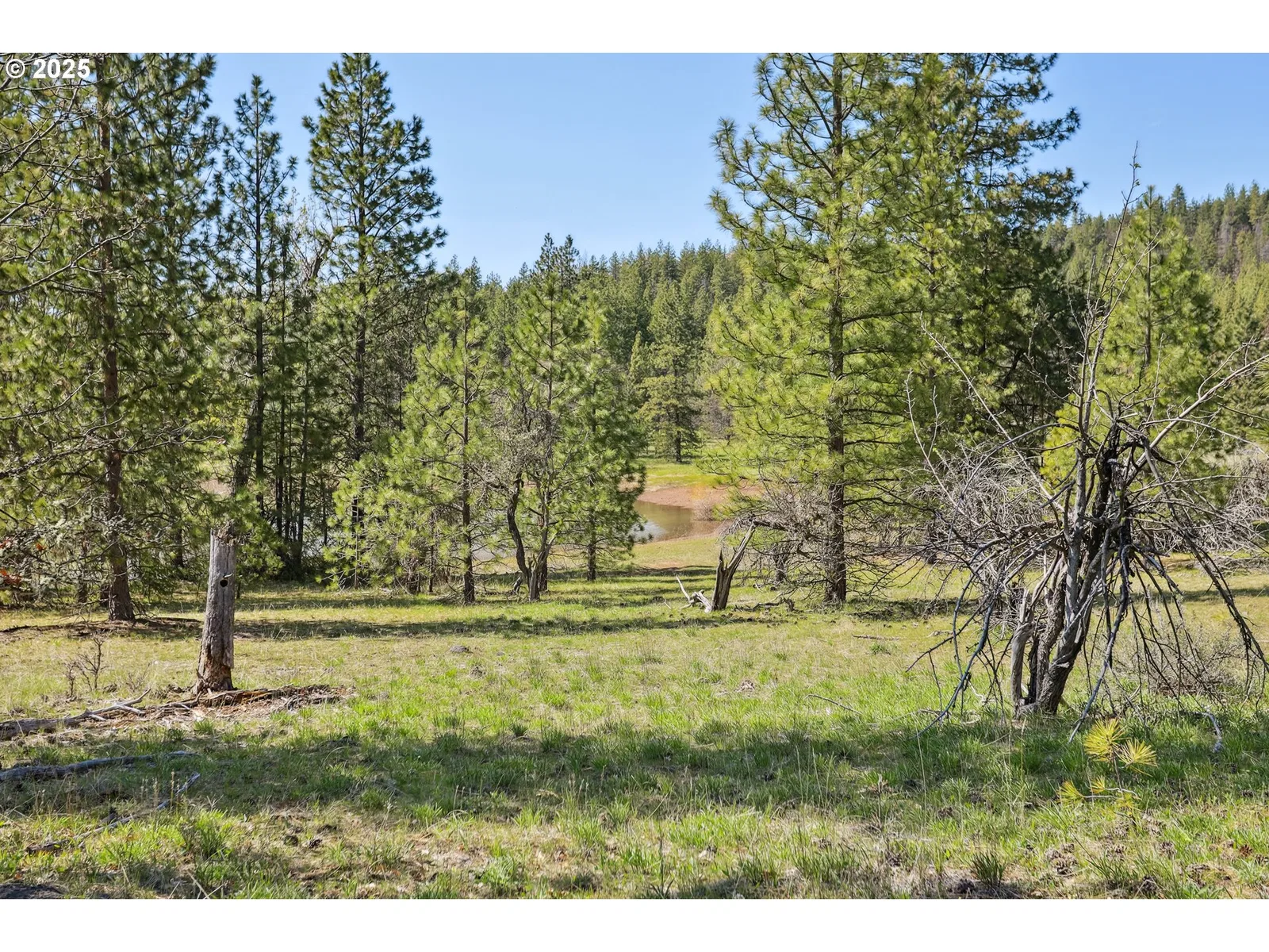 Nka Tyler Rd, Goldendale, Wa 98620 — photograph 18