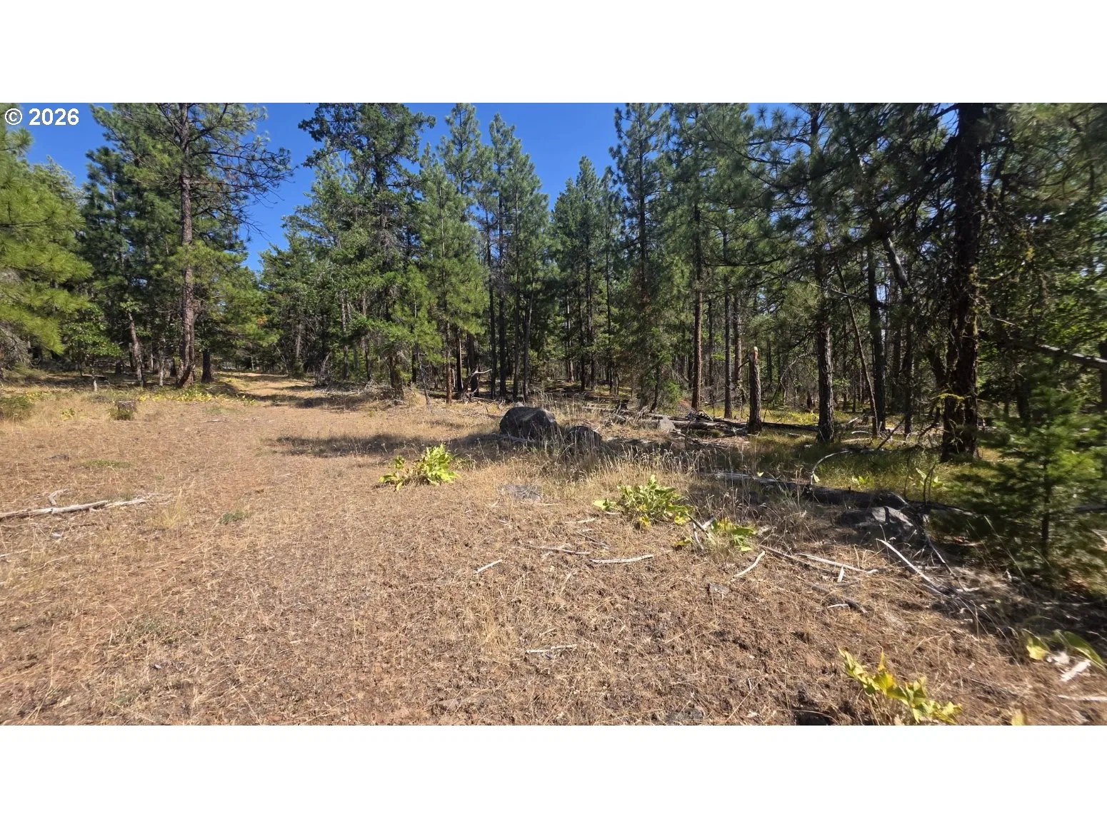 Nka Tyler Rd, Goldendale, Wa 98620 — photograph 24