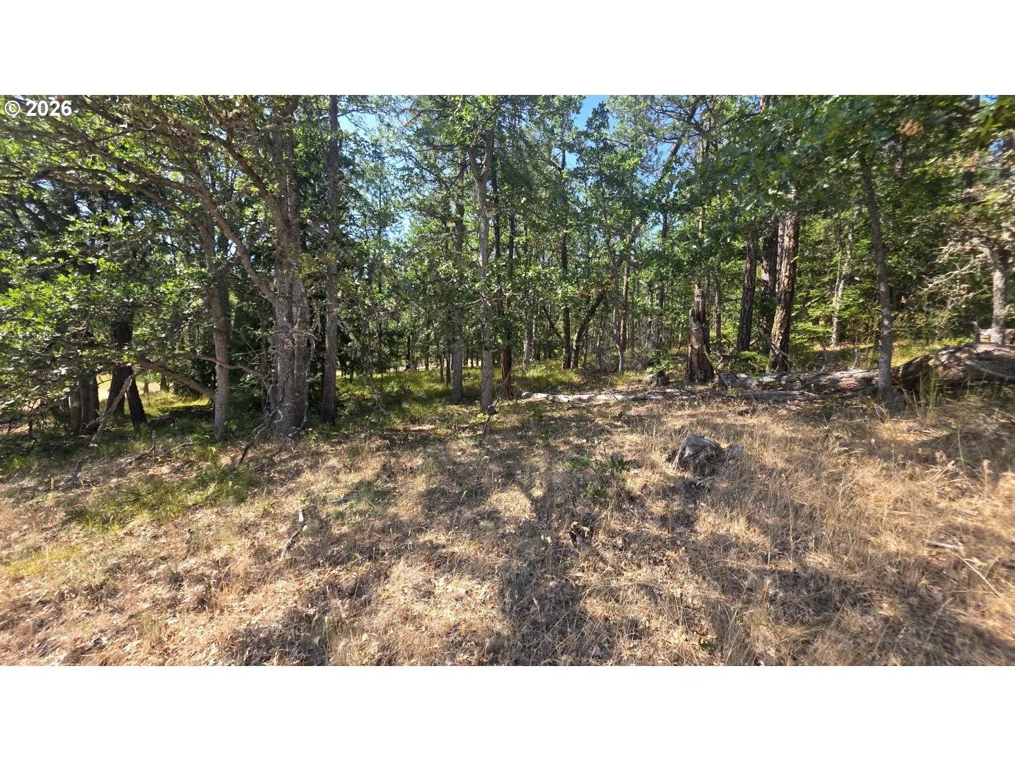 Nka Tyler Rd, Goldendale, Wa 98620 — photograph 29