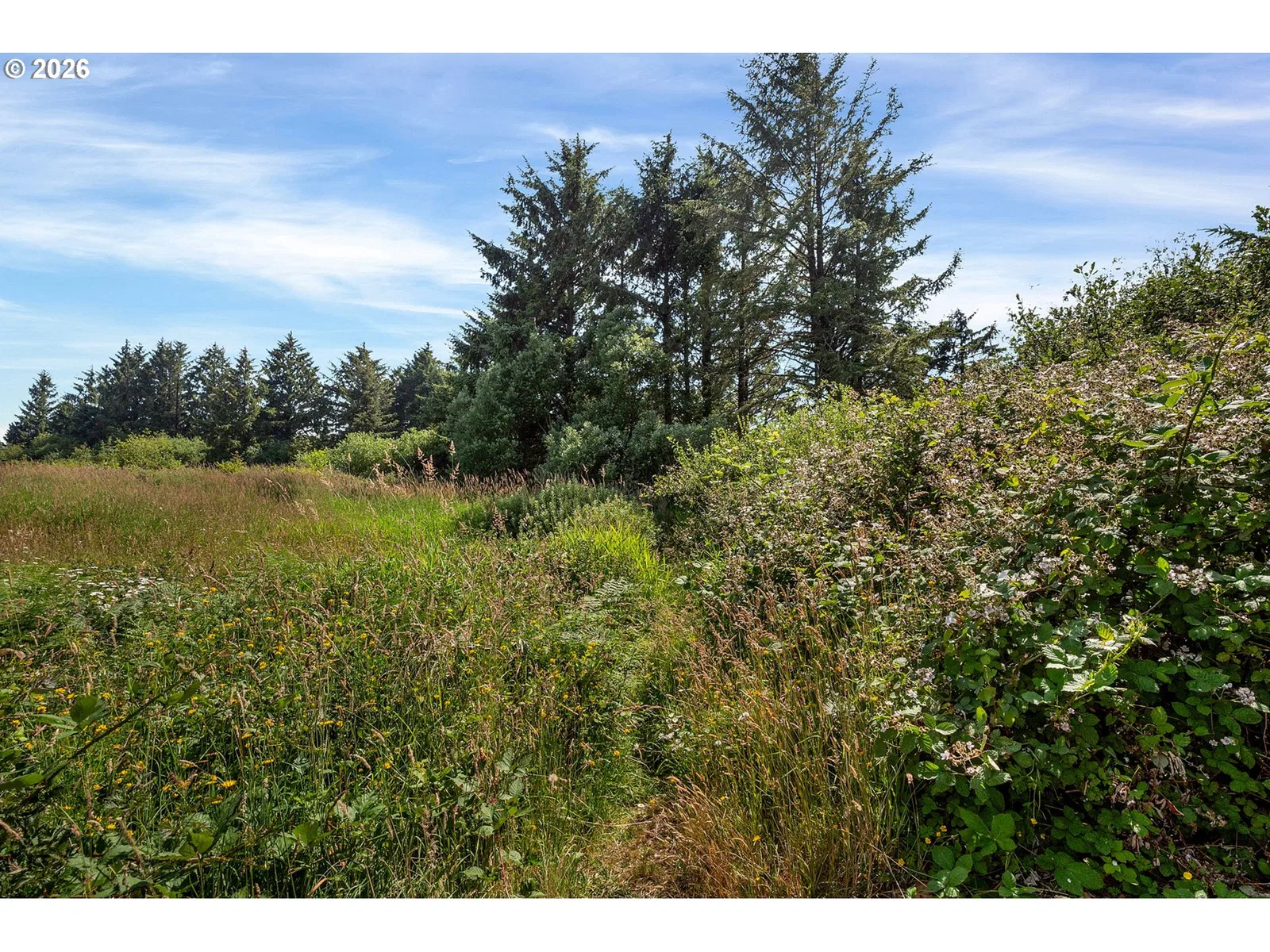 4535 Clam St, Bay City, OR 97107 — photograph 36