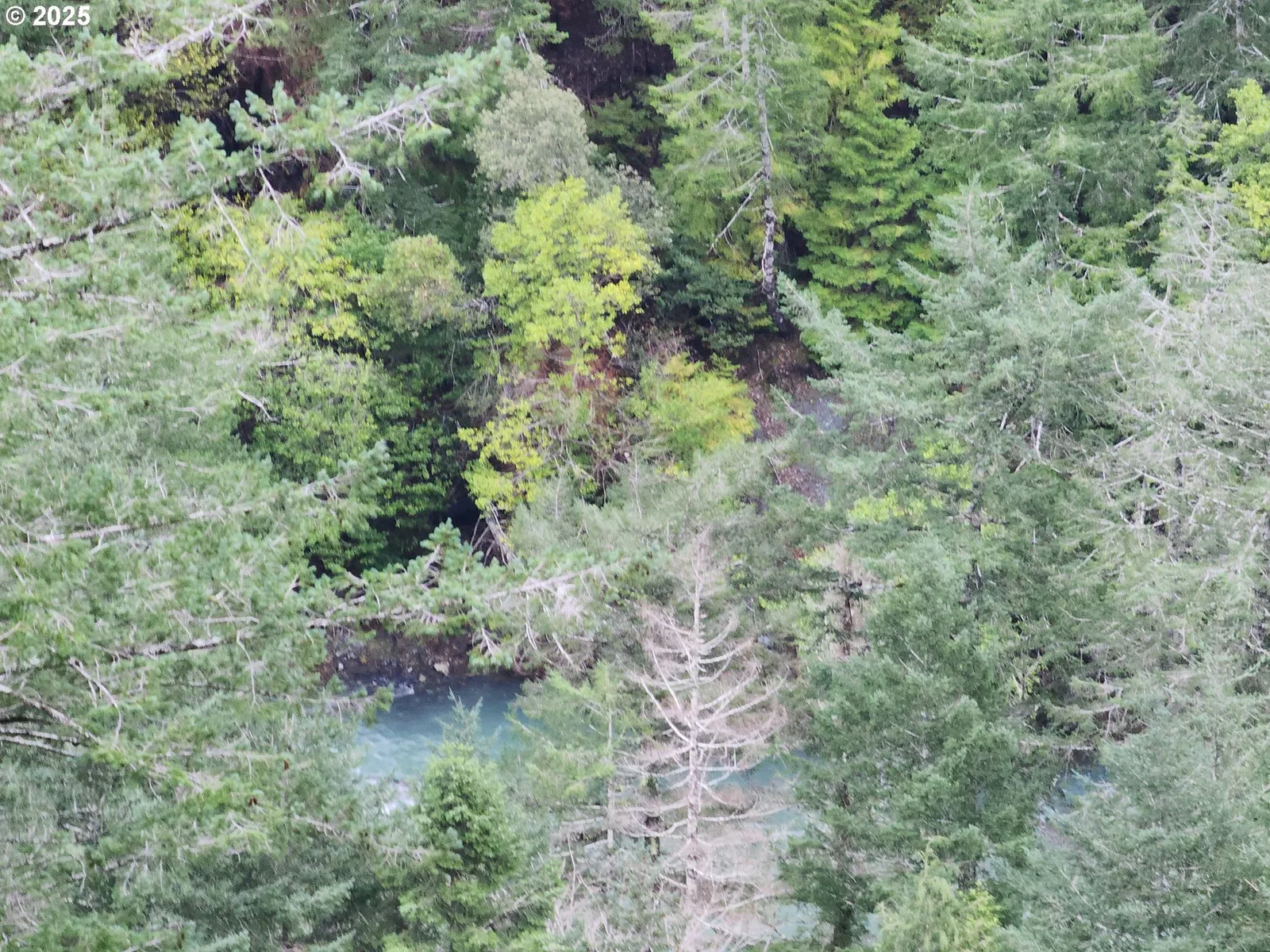0 SE Elk River Rd, Port Orford, OR 97465 — photograph 24