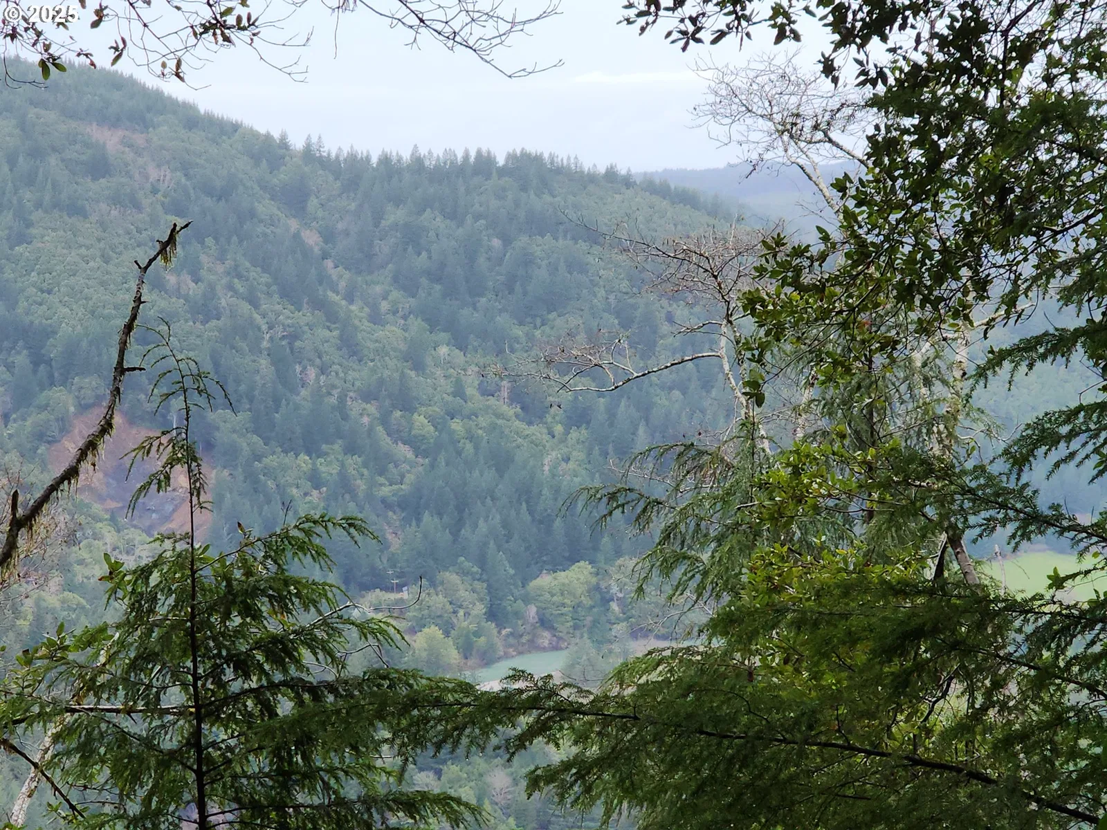0 SE Elk River Rd, Port Orford, OR 97465 — photograph 27