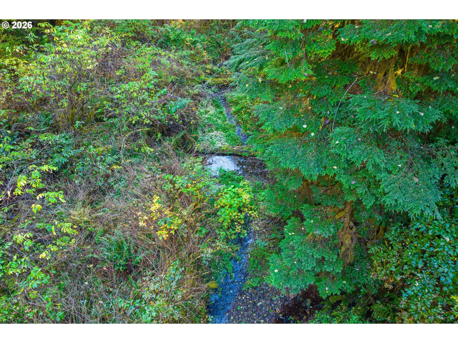 Honeygrove Rd Tl200, Alsea, OR 97324 — photograph 7