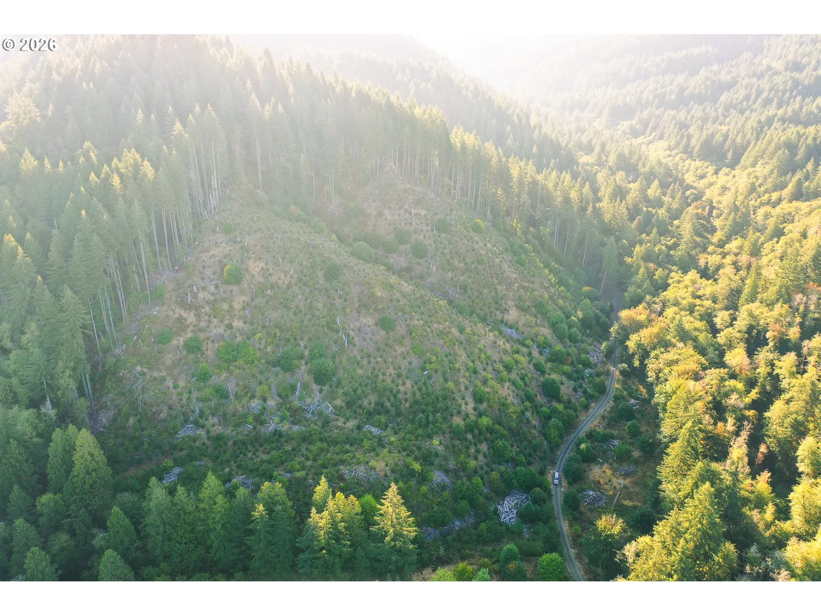 Honeygrove Rd Tl200, Alsea, OR 97324 — photograph 13