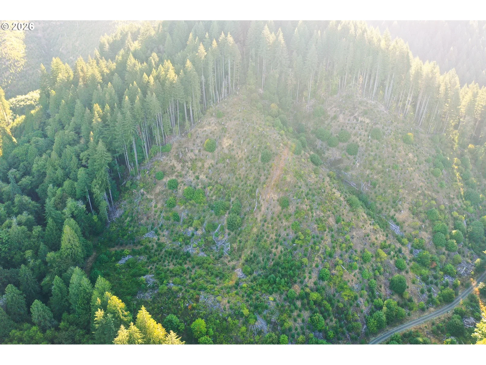 Honeygrove Rd Tl200, Alsea, OR 97324 — photograph 21