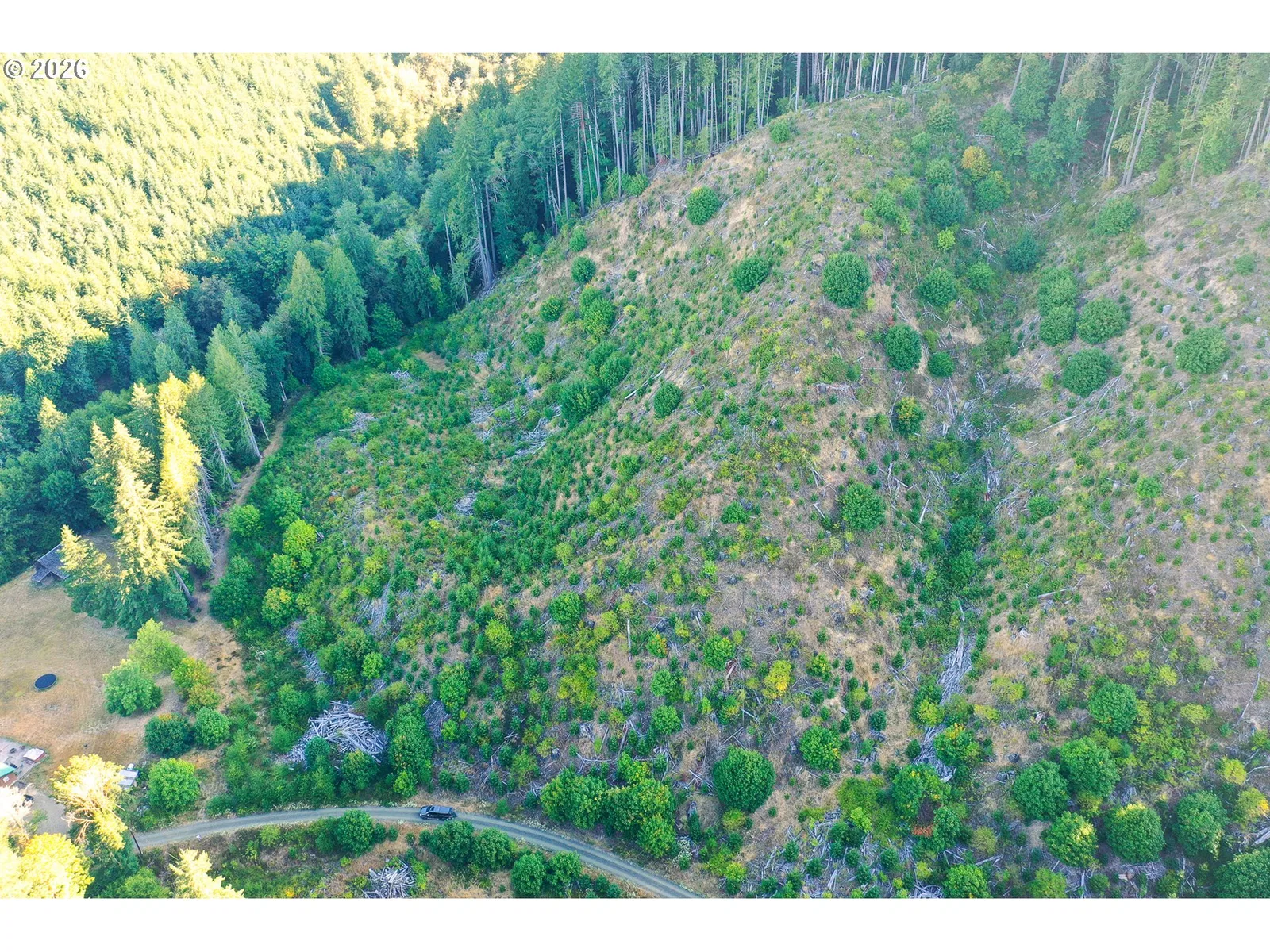Honeygrove Rd Tl200, Alsea, OR 97324 — photograph 23