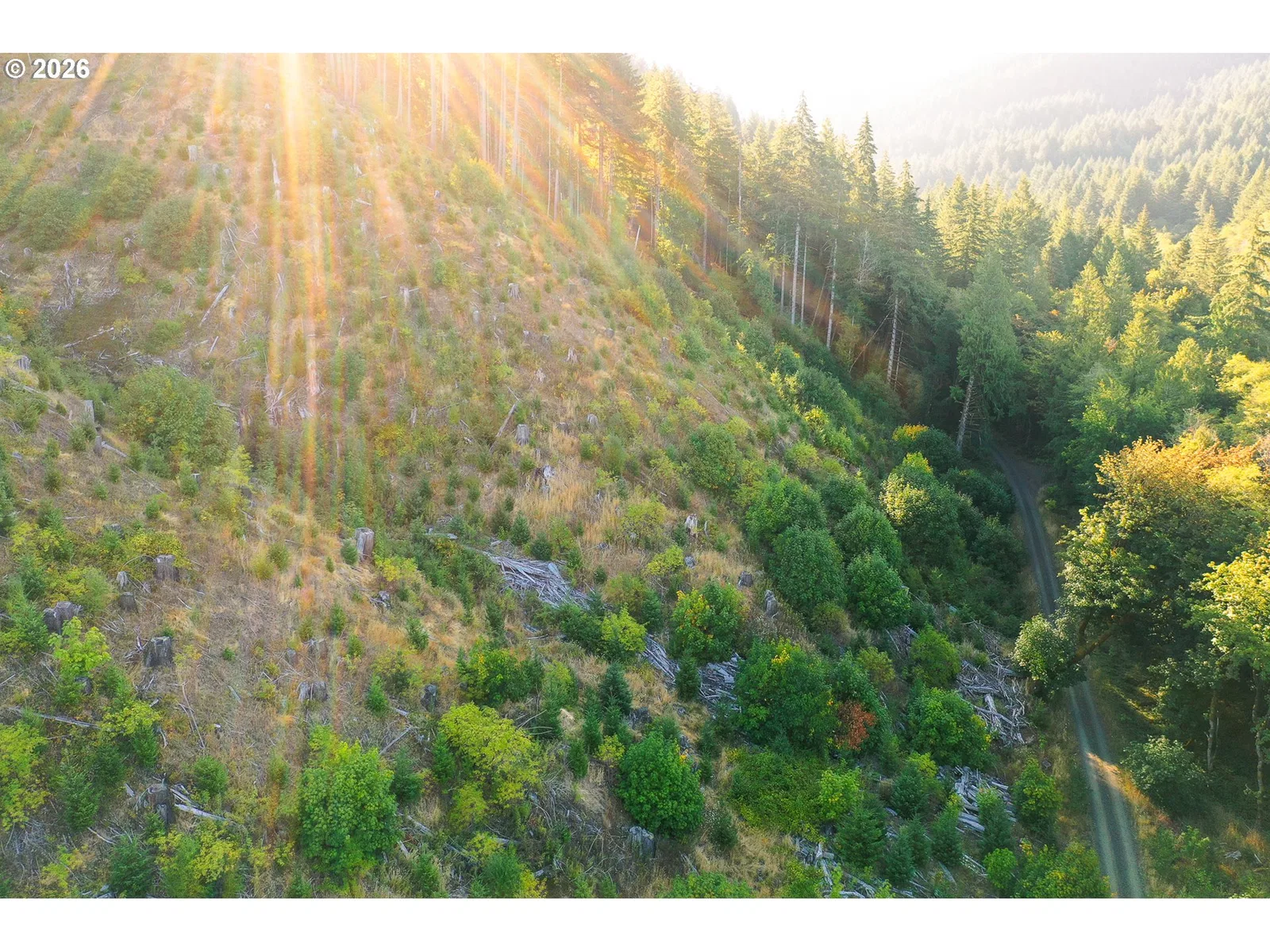 Honeygrove Rd Tl200, Alsea, OR 97324 — photograph 25