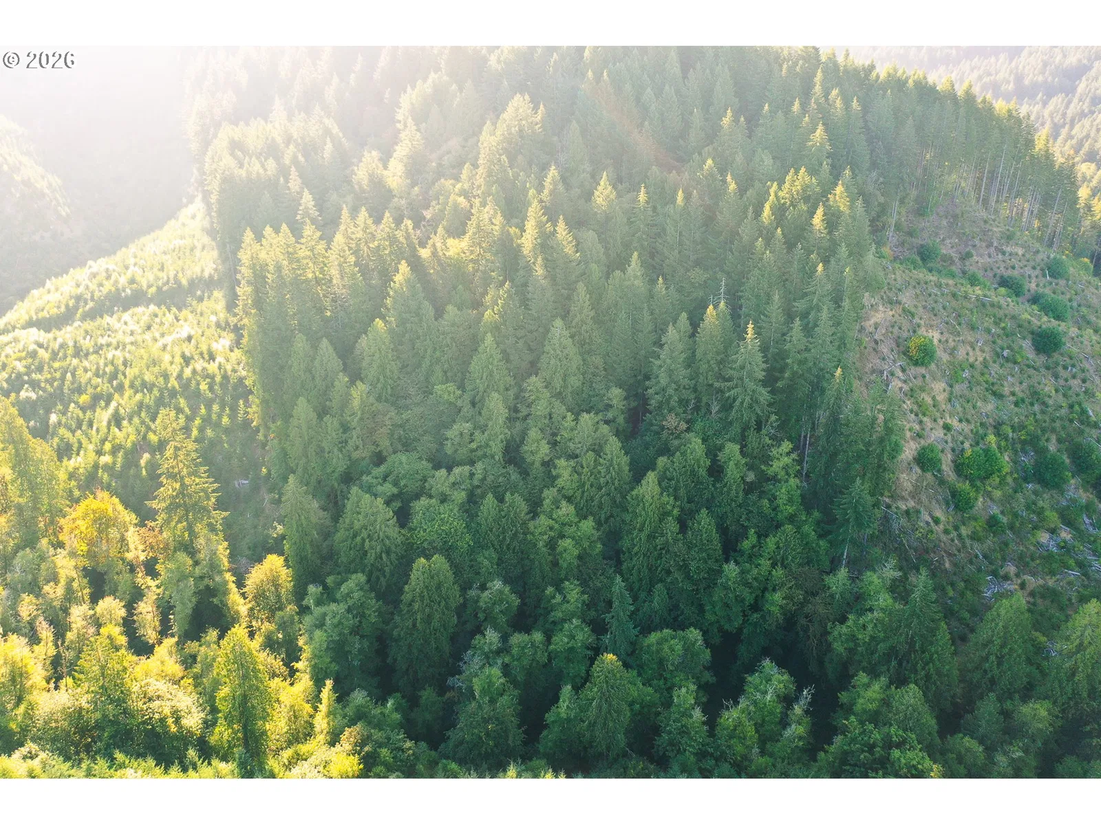 Honeygrove Rd Tl200, Alsea, OR 97324 — photograph 35