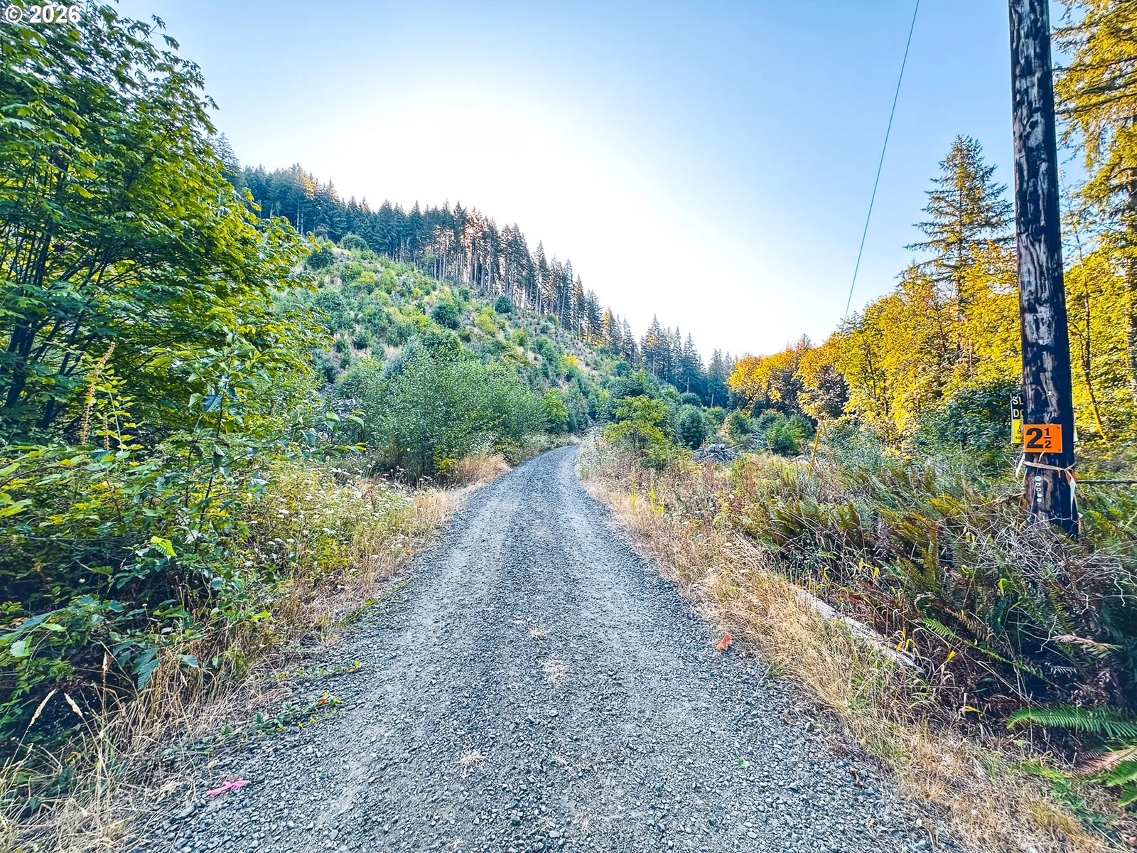 Honeygrove Rd Tl200, Alsea, OR 97324 — photograph 41