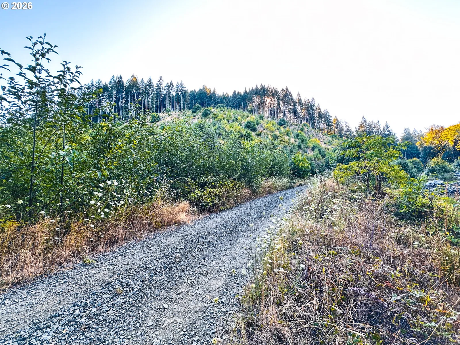 Honeygrove Rd Tl200, Alsea, OR 97324 — photograph 42