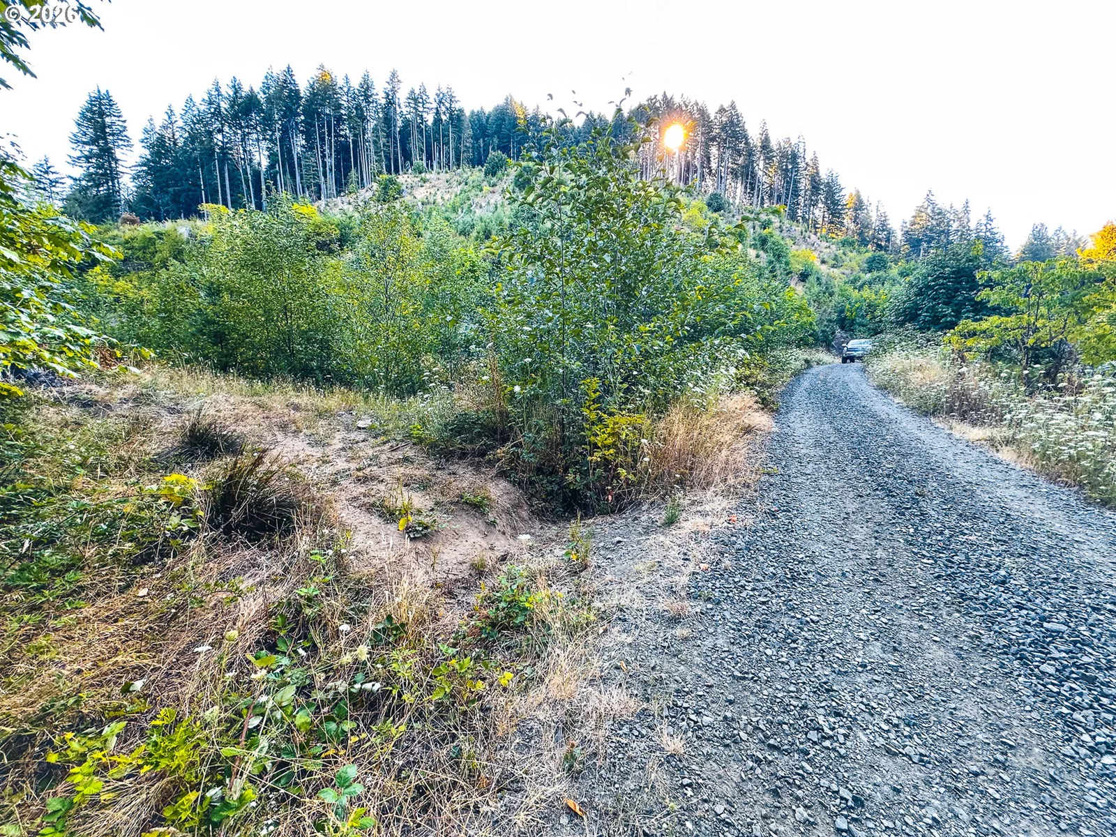 Honeygrove Rd Tl200, Alsea, OR 97324 — photograph 43