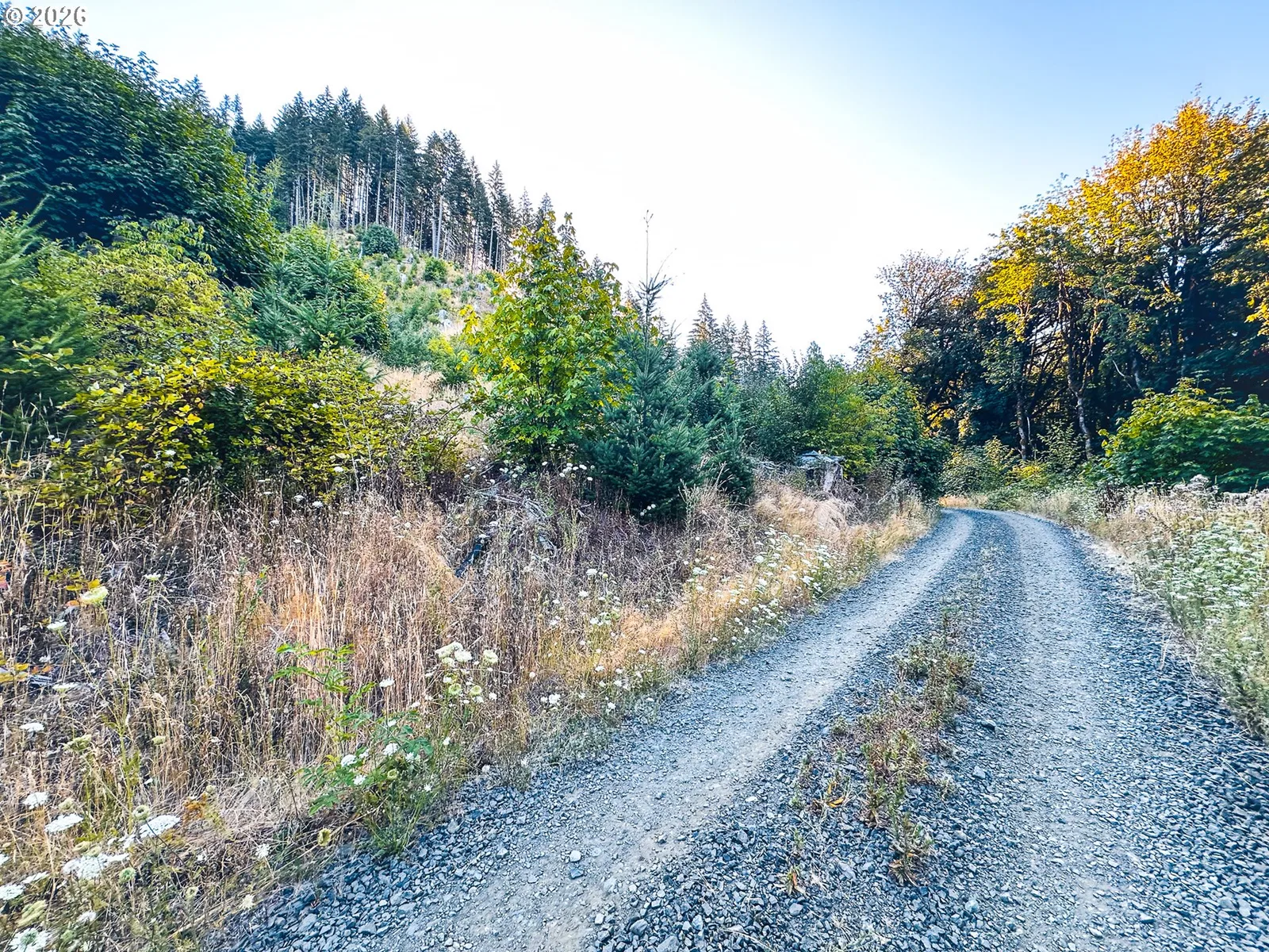 Honeygrove Rd Tl200, Alsea, OR 97324 — photograph 45