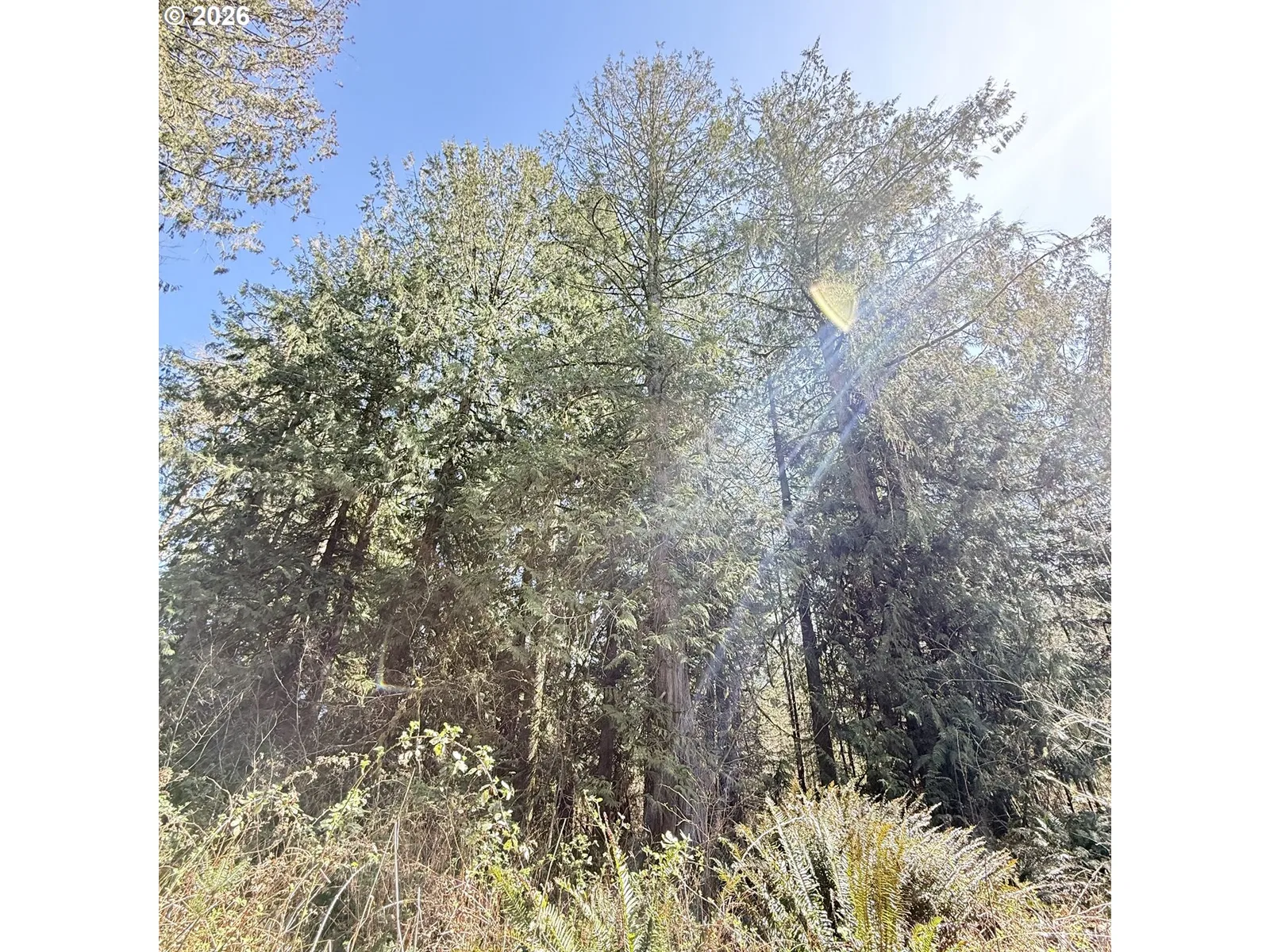 0000 N Louisiana Ave, Vernonia, OR 97064 — photograph 6