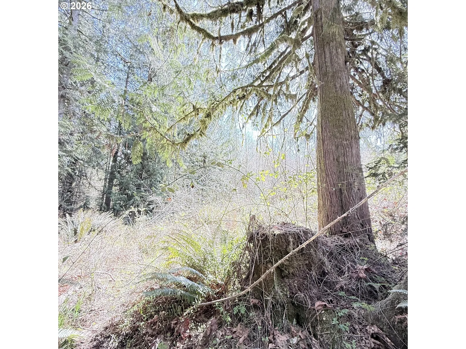 0000 N Louisiana Ave, Vernonia, OR 97064 — photograph 10