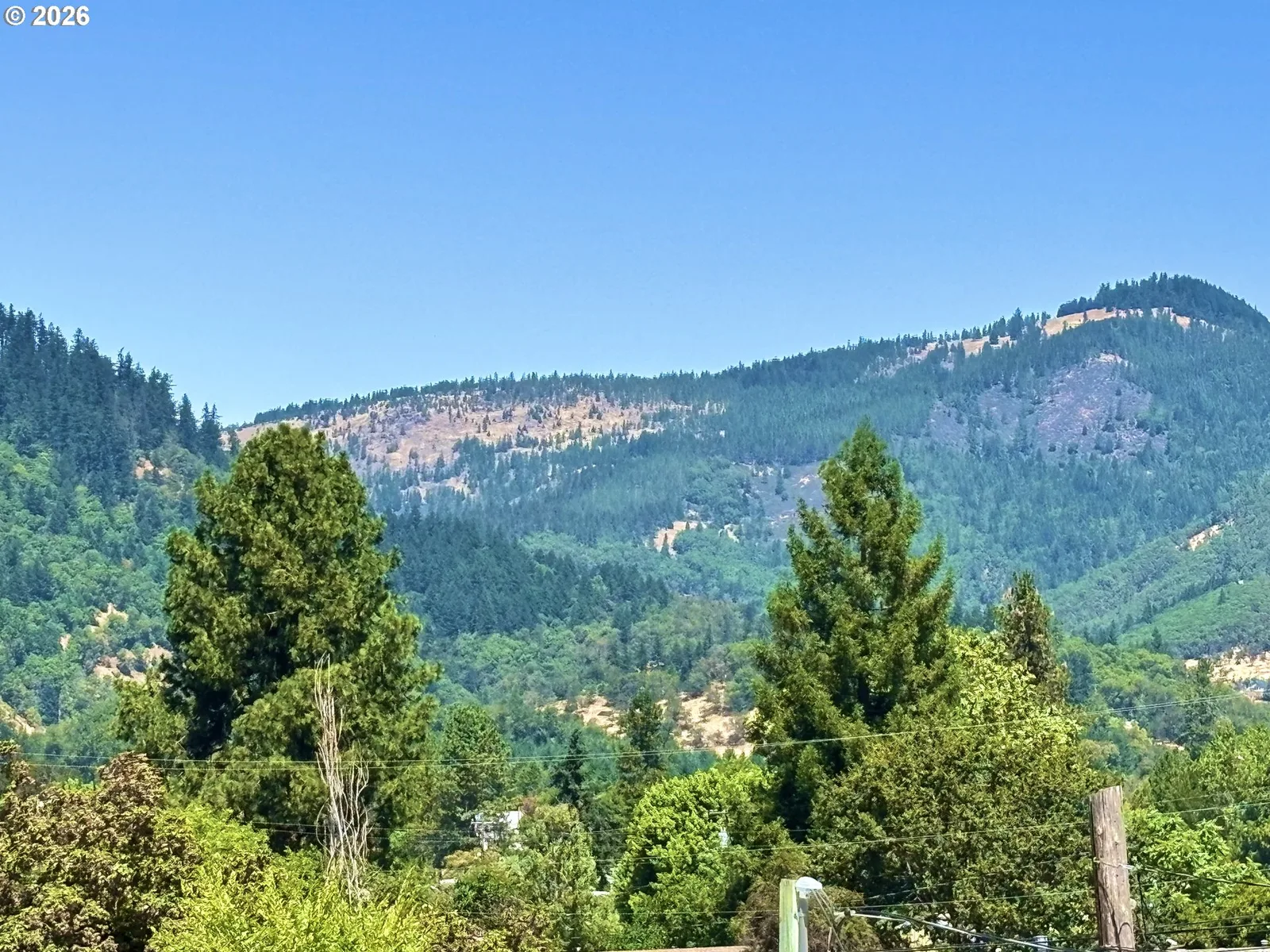 1003 Arburnia St, Myrtle Creek, OR 97457 — photograph 19