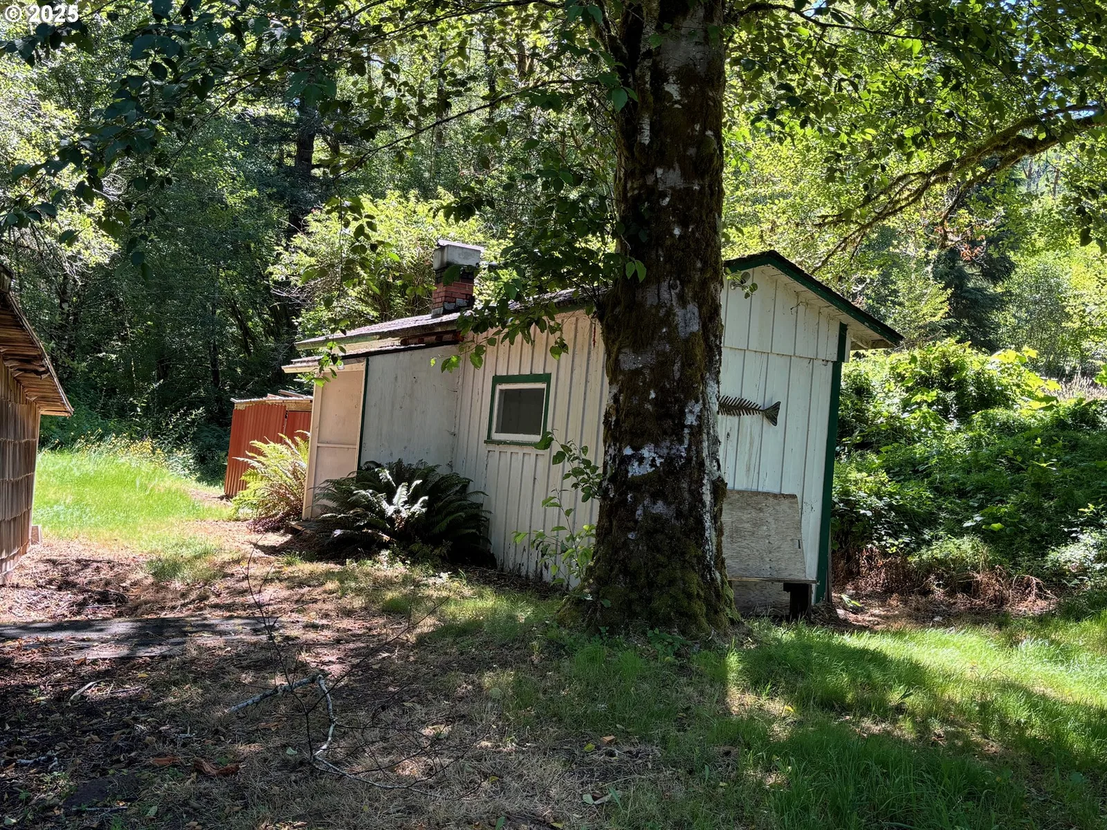 Tin Shack Road, Nehalem, OR 97131 — photograph 8