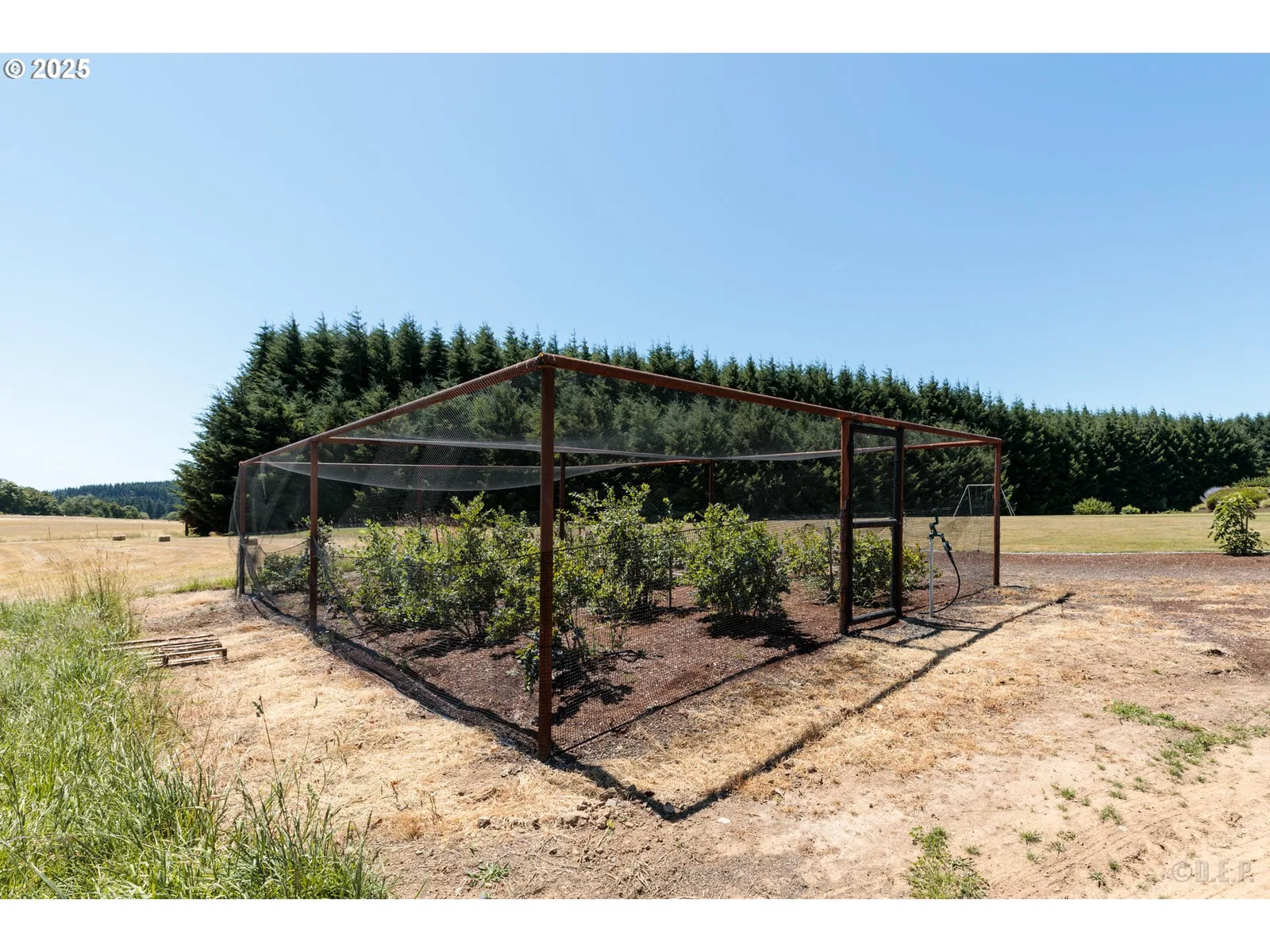 33306 Freds Row Ln, St. Helens, OR 97051 — photograph 31