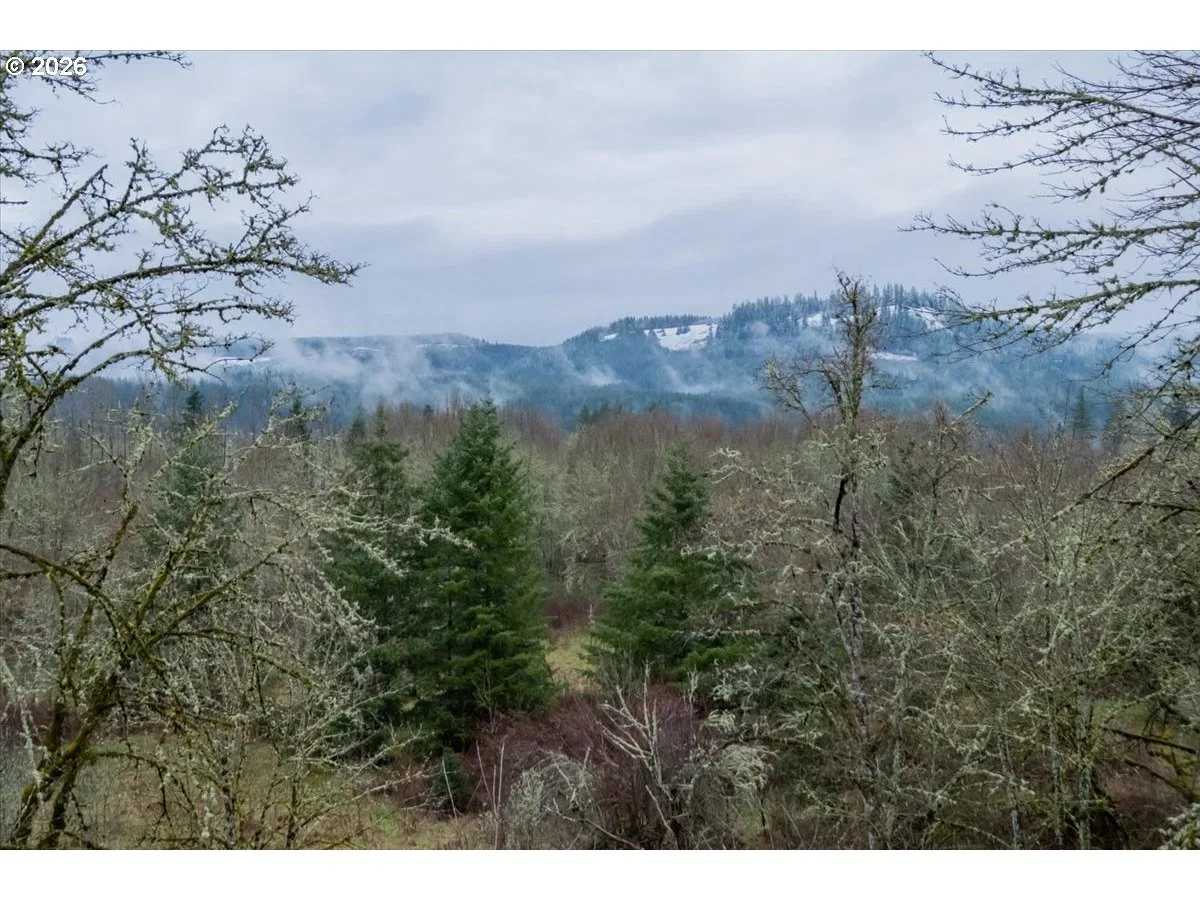 1453 45th Ave, Sweet Home, OR 97386 — photograph 34