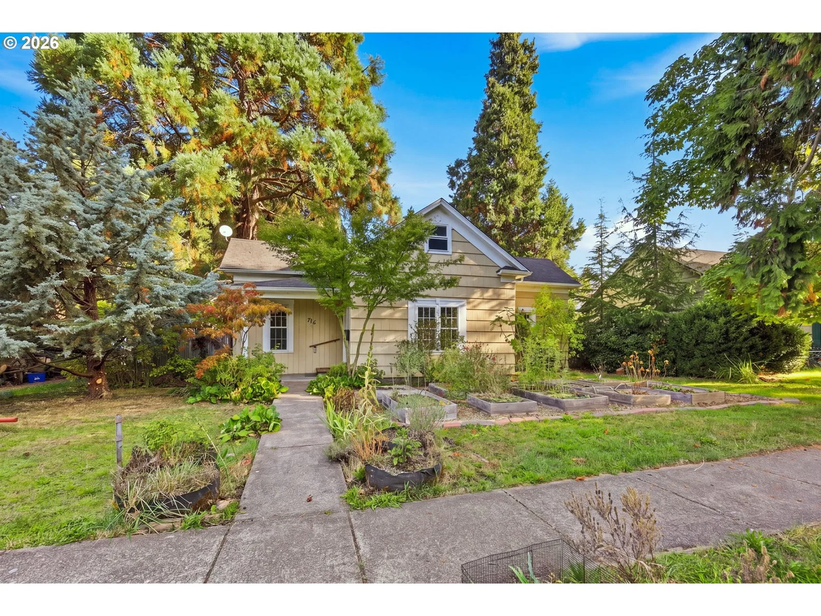 716 F St, Springfield, OR 97477 — photograph 39
