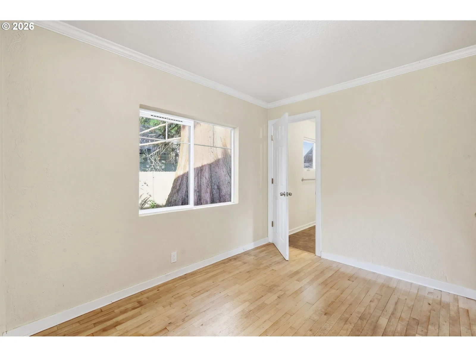 716 F St, Springfield, OR 97477 — photograph 23