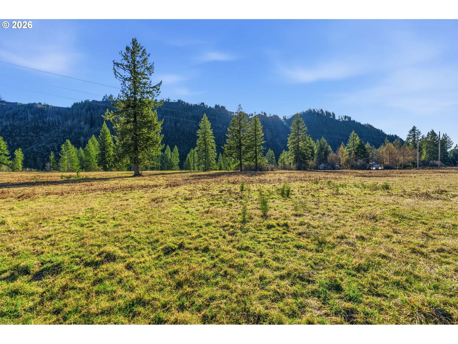 208 Sawmill Rd 3, Ariel, Wa 98603 — photograph 11
