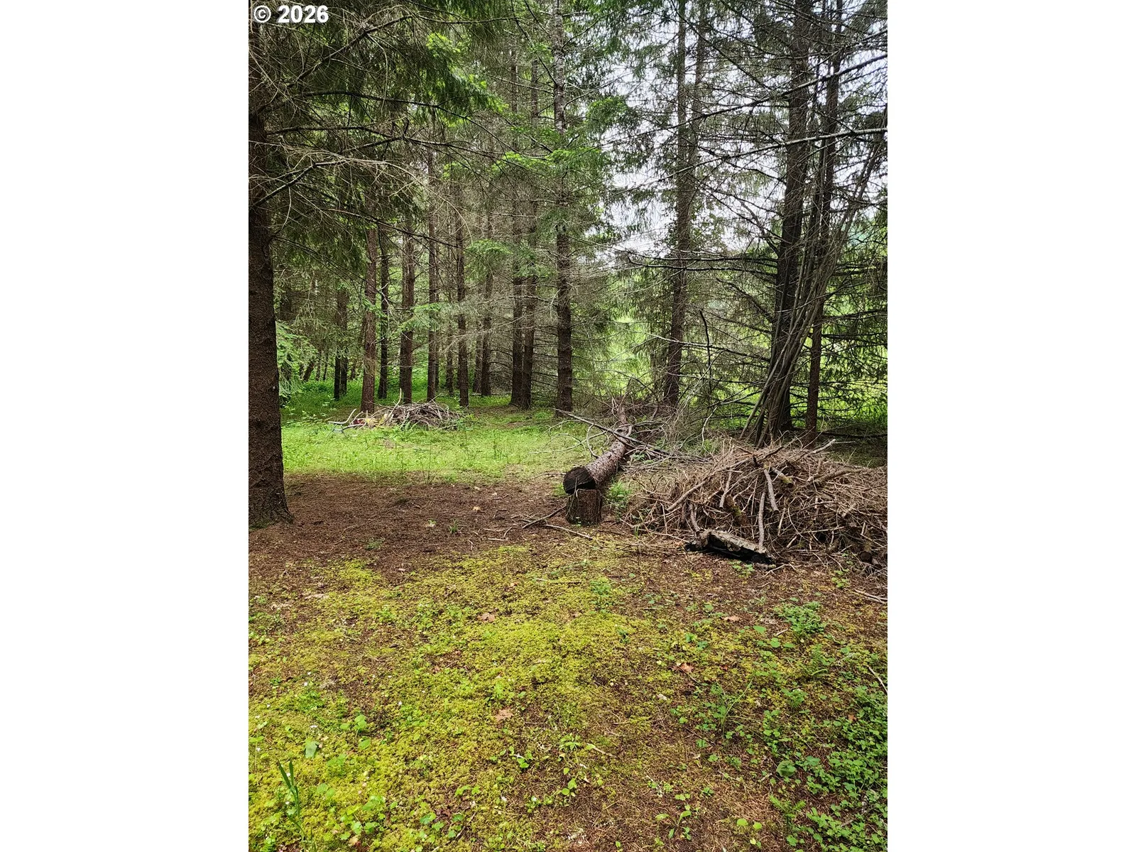 0 Louis Creek Rd, Myrtle Creek, OR 97457 — photograph 11