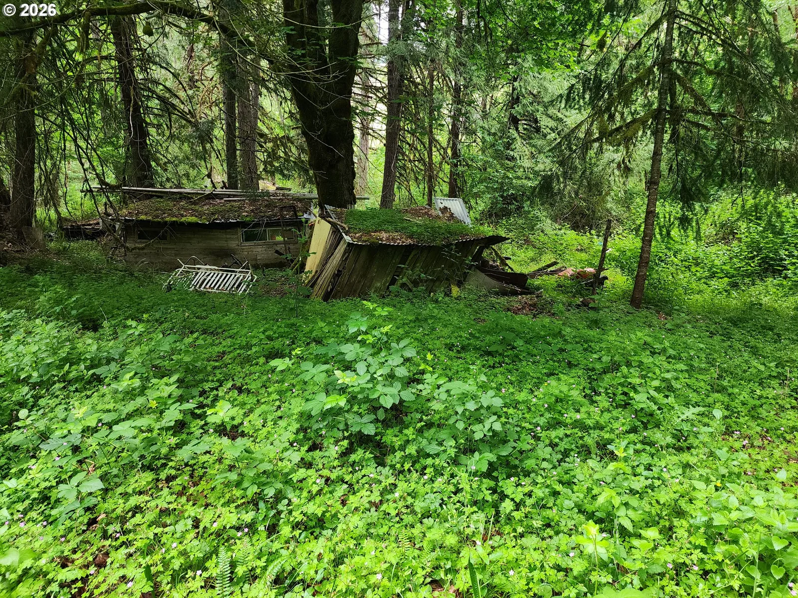 0 Louis Creek Rd, Myrtle Creek, OR 97457 — photograph 16
