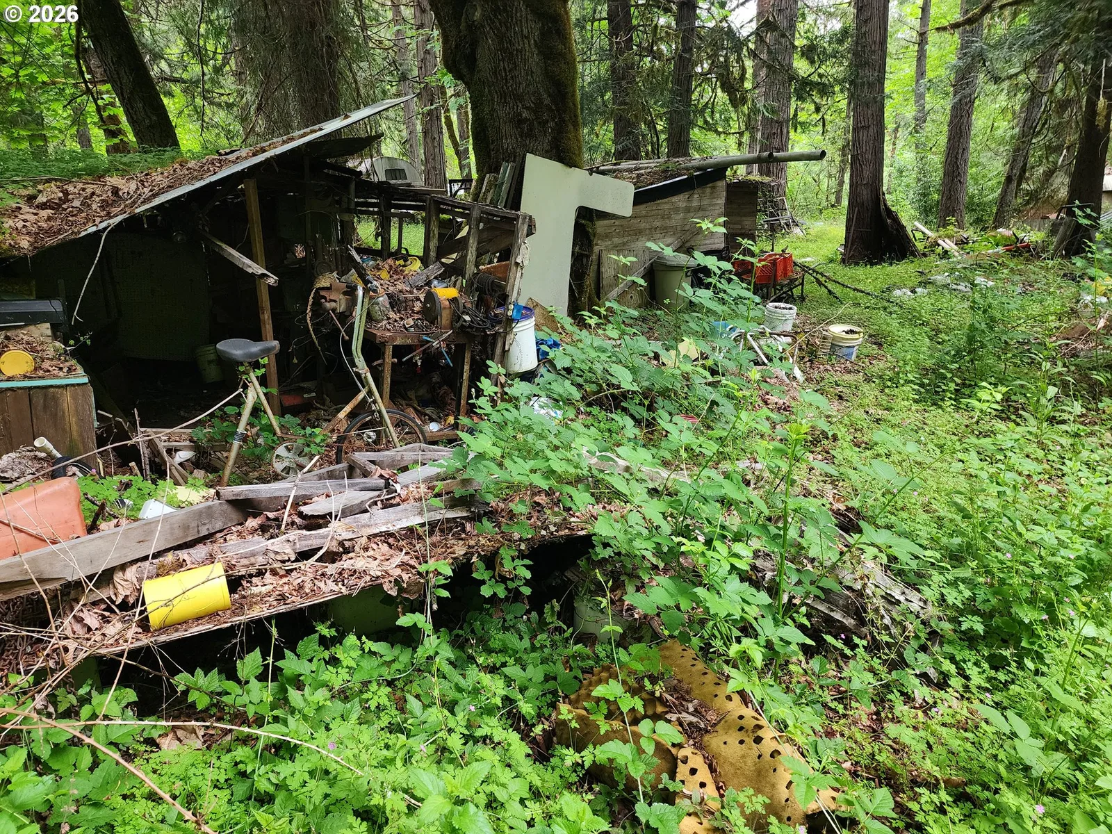 0 Louis Creek Rd, Myrtle Creek, OR 97457 — photograph 18