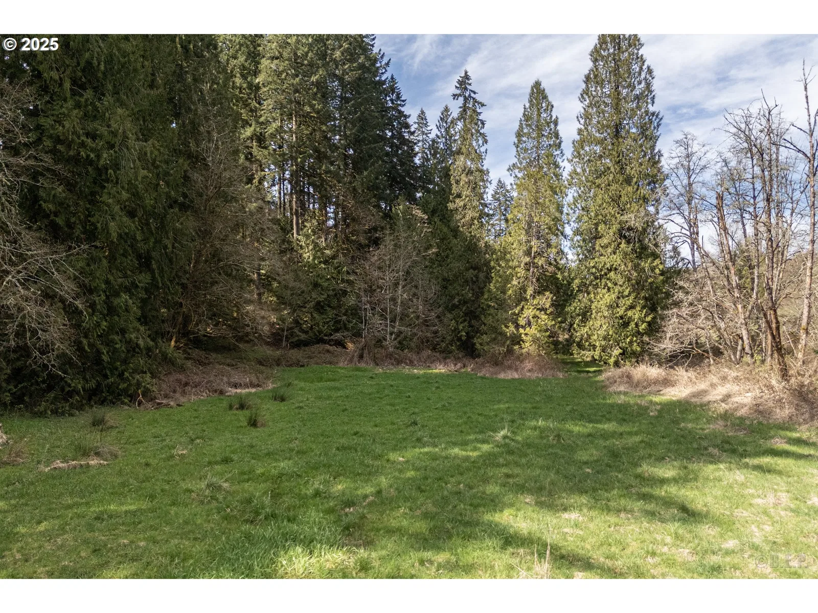 0 Oester Rd, Warren, OR 97053 — photograph 11
