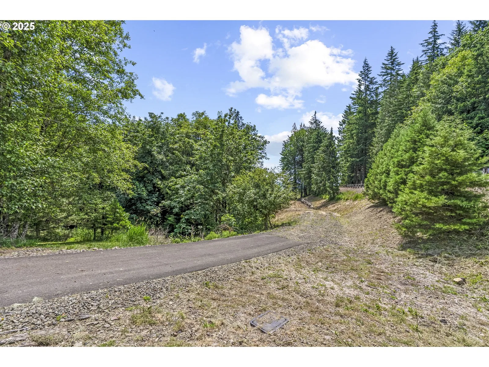 1899 Mount Pleasant Rd, Kelso, Wa 98626 — photograph 13