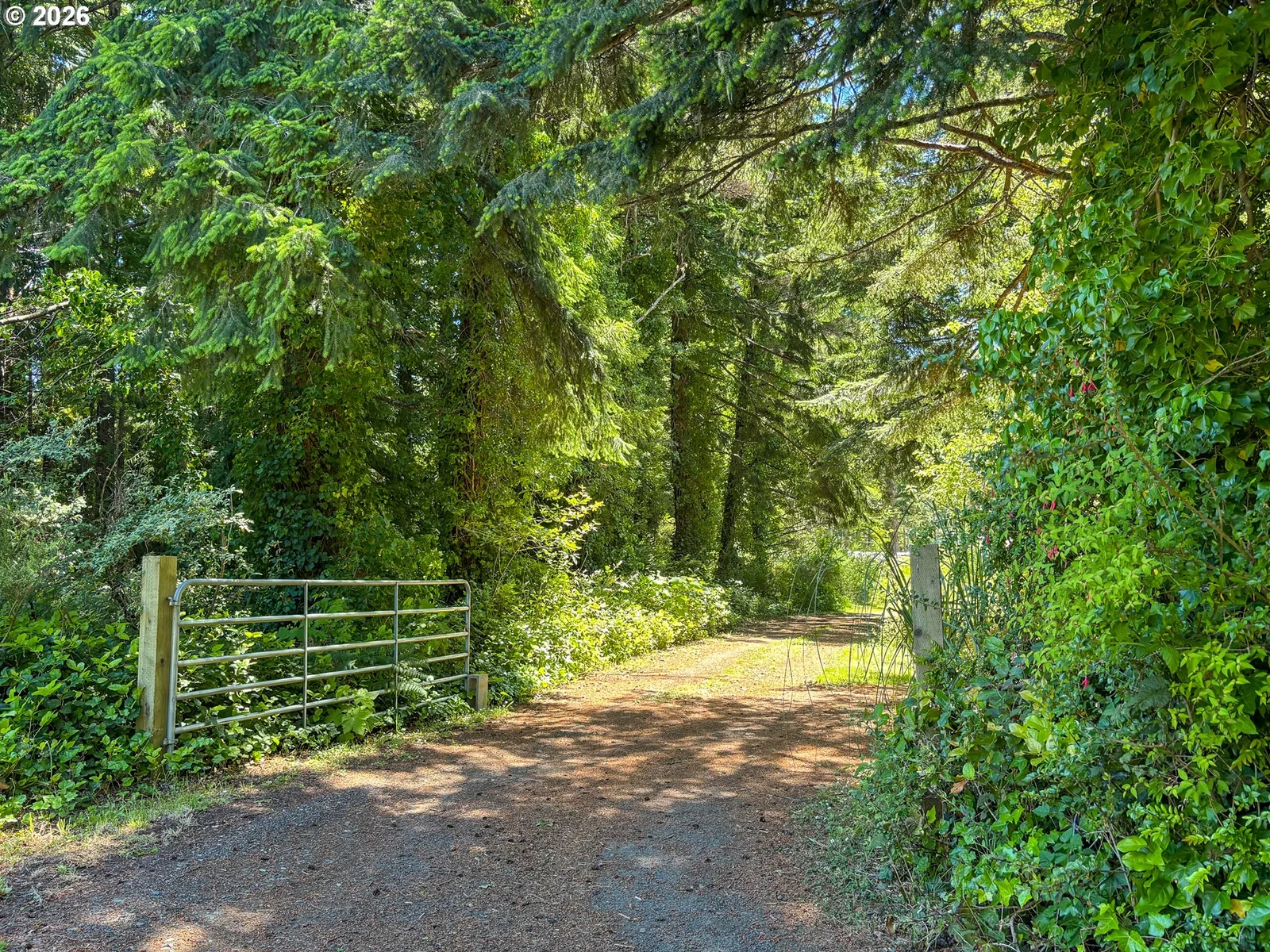 55955 Spring Creek Rd, Bandon, OR 97411 — photograph 22