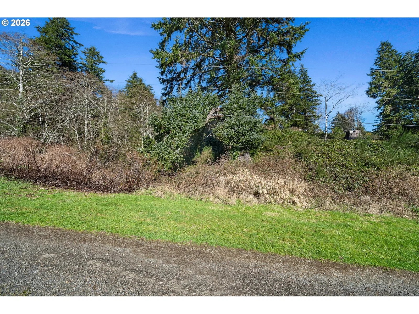 Vl1504 Fir Ave, Garibaldi, OR 97118 — photograph 12