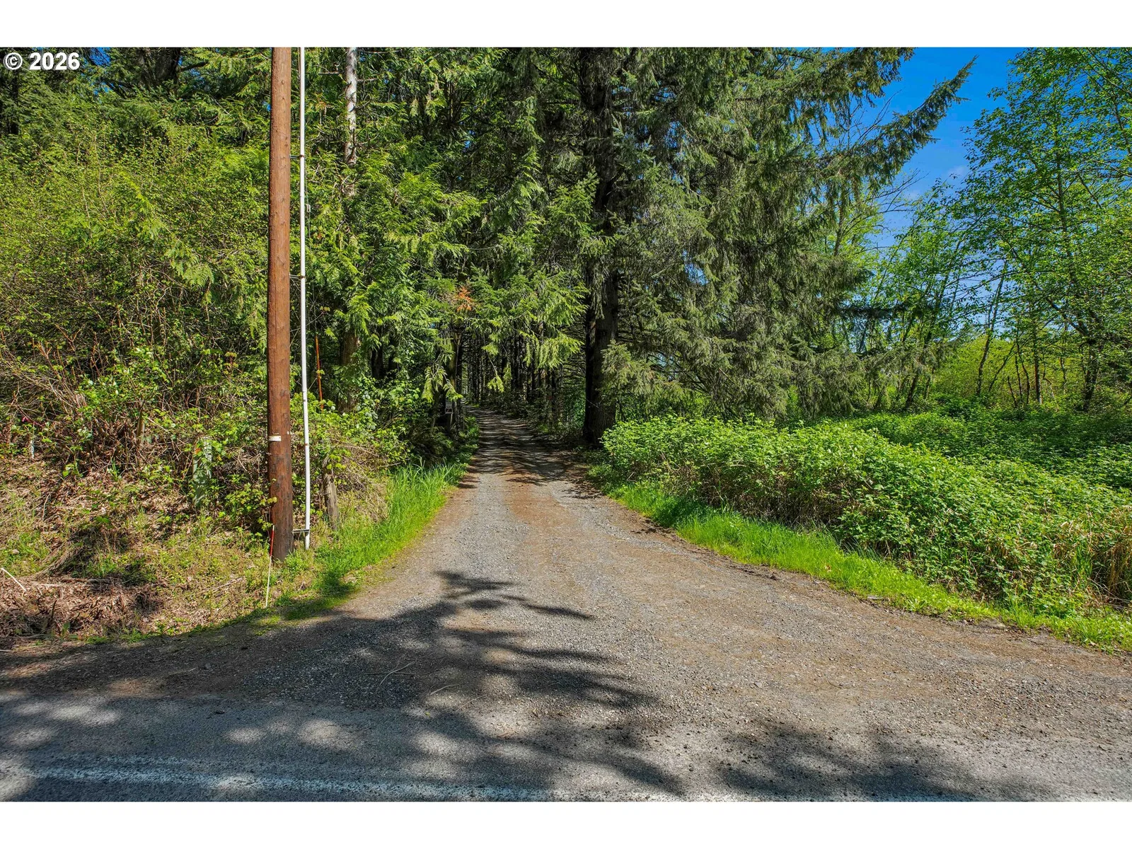 70896 Neer City Rd, Rainier, OR 97048 — photograph 29
