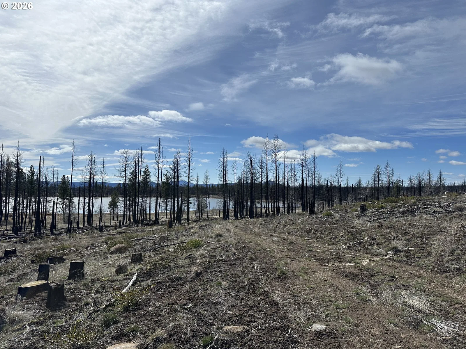 Hicks Rd 400, Bly, OR 97622 — photograph 19