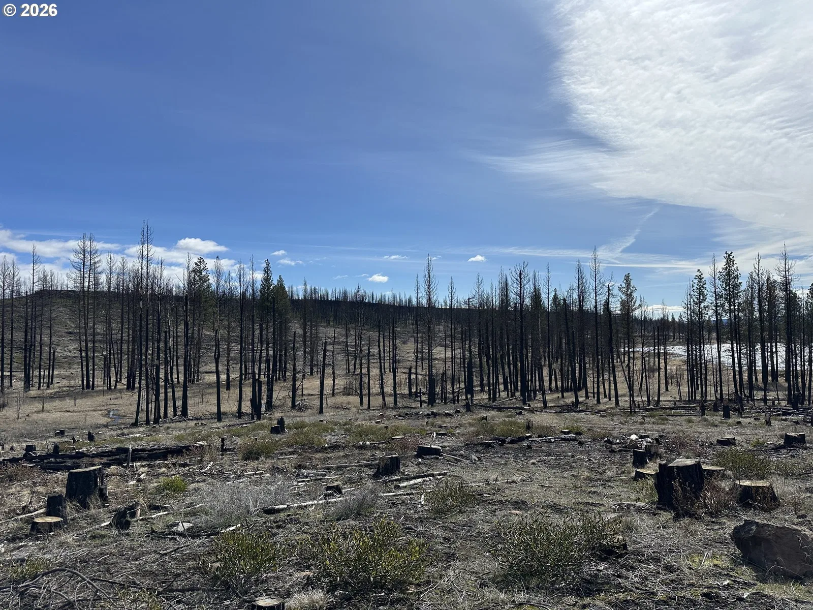 Hicks Rd 400, Bly, OR 97622 — photograph 20
