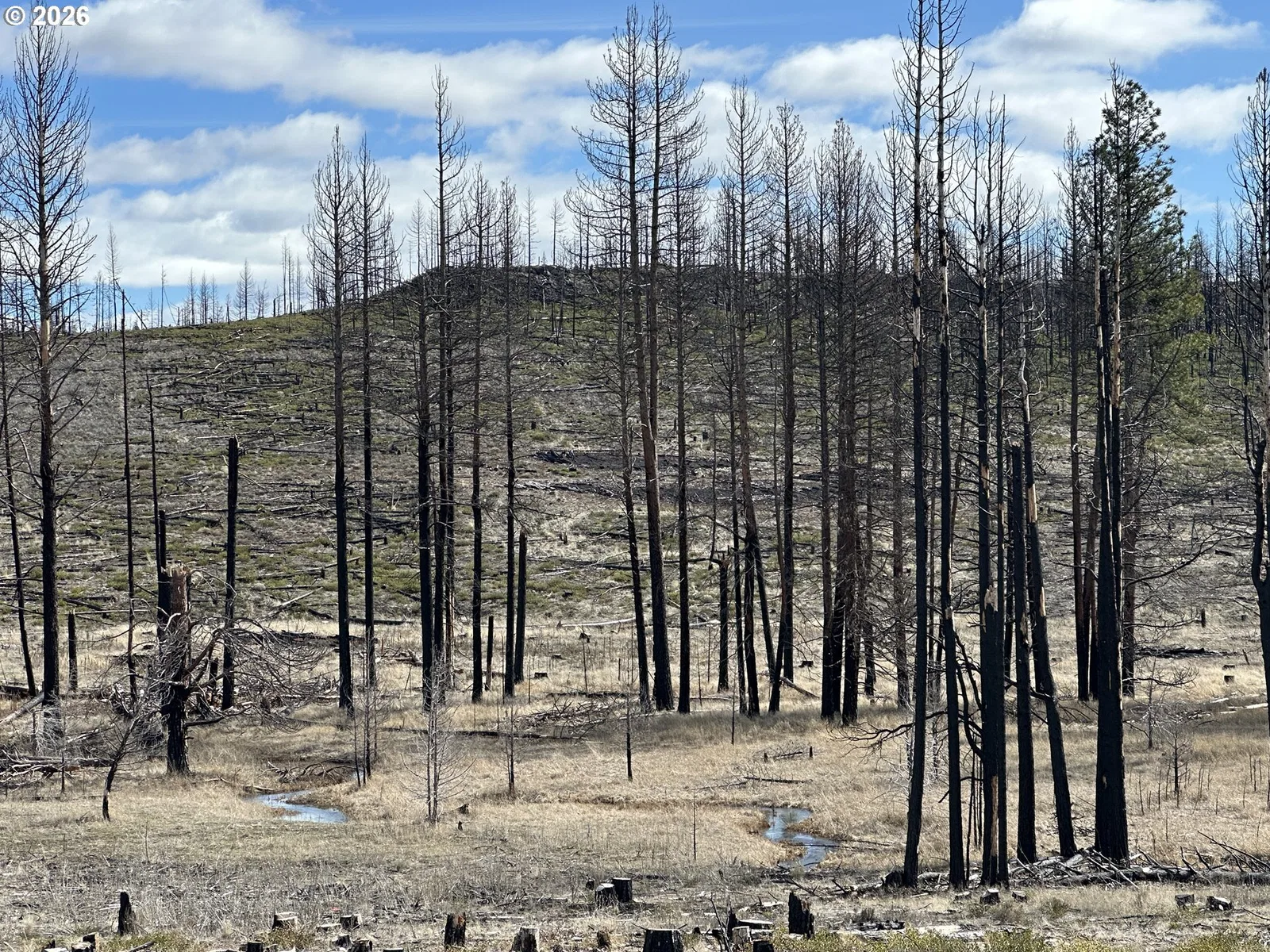 Hicks Rd 400, Bly, OR 97622 — photograph 21