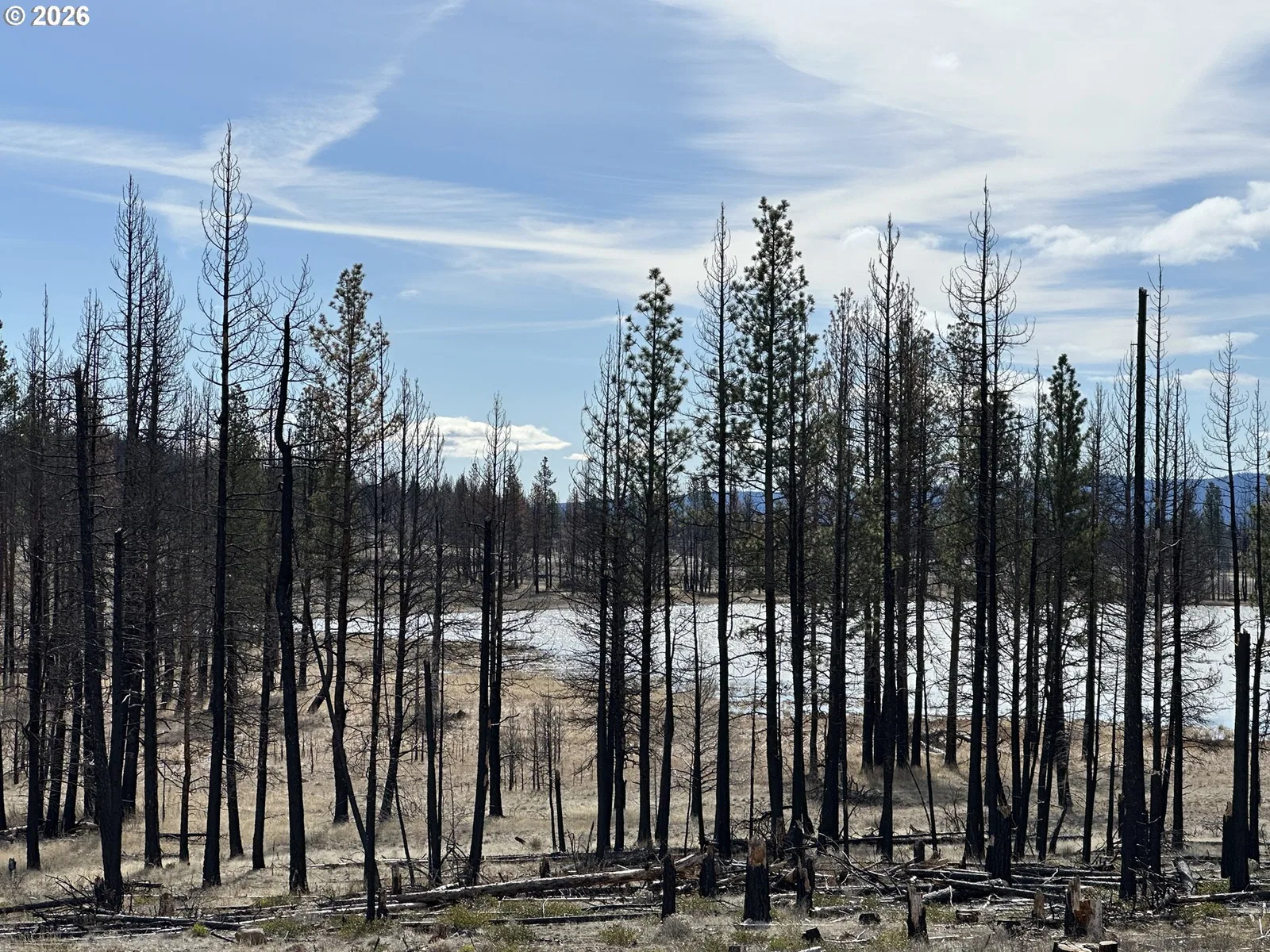 Hicks Rd 400, Bly, OR 97622 — photograph 22