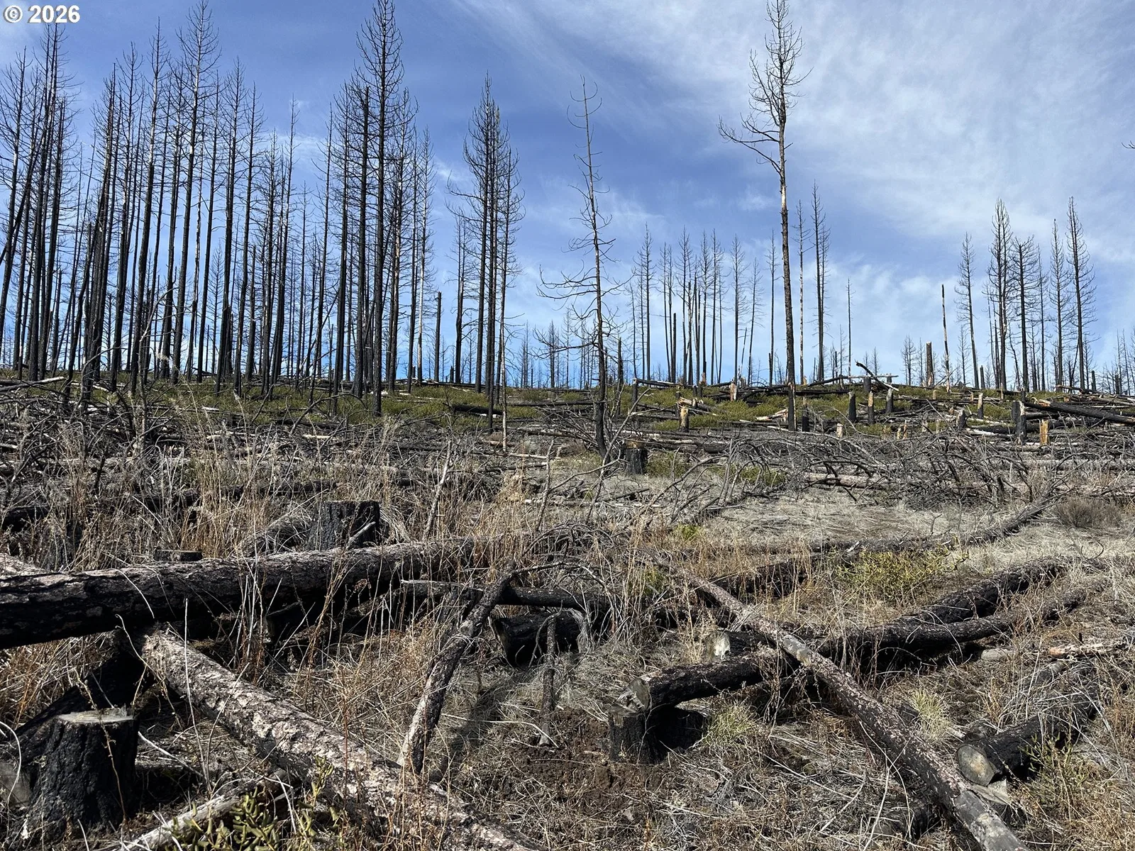 Hicks Rd 400, Bly, OR 97622 — photograph 27