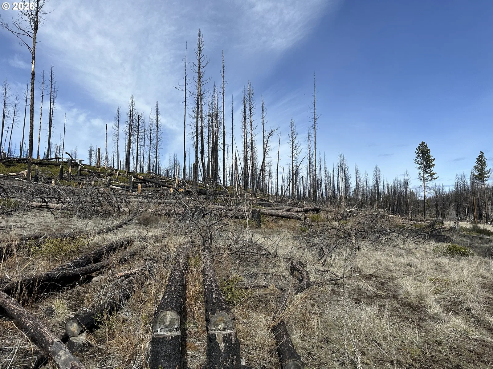 Hicks Rd 400, Bly, OR 97622 — photograph 28