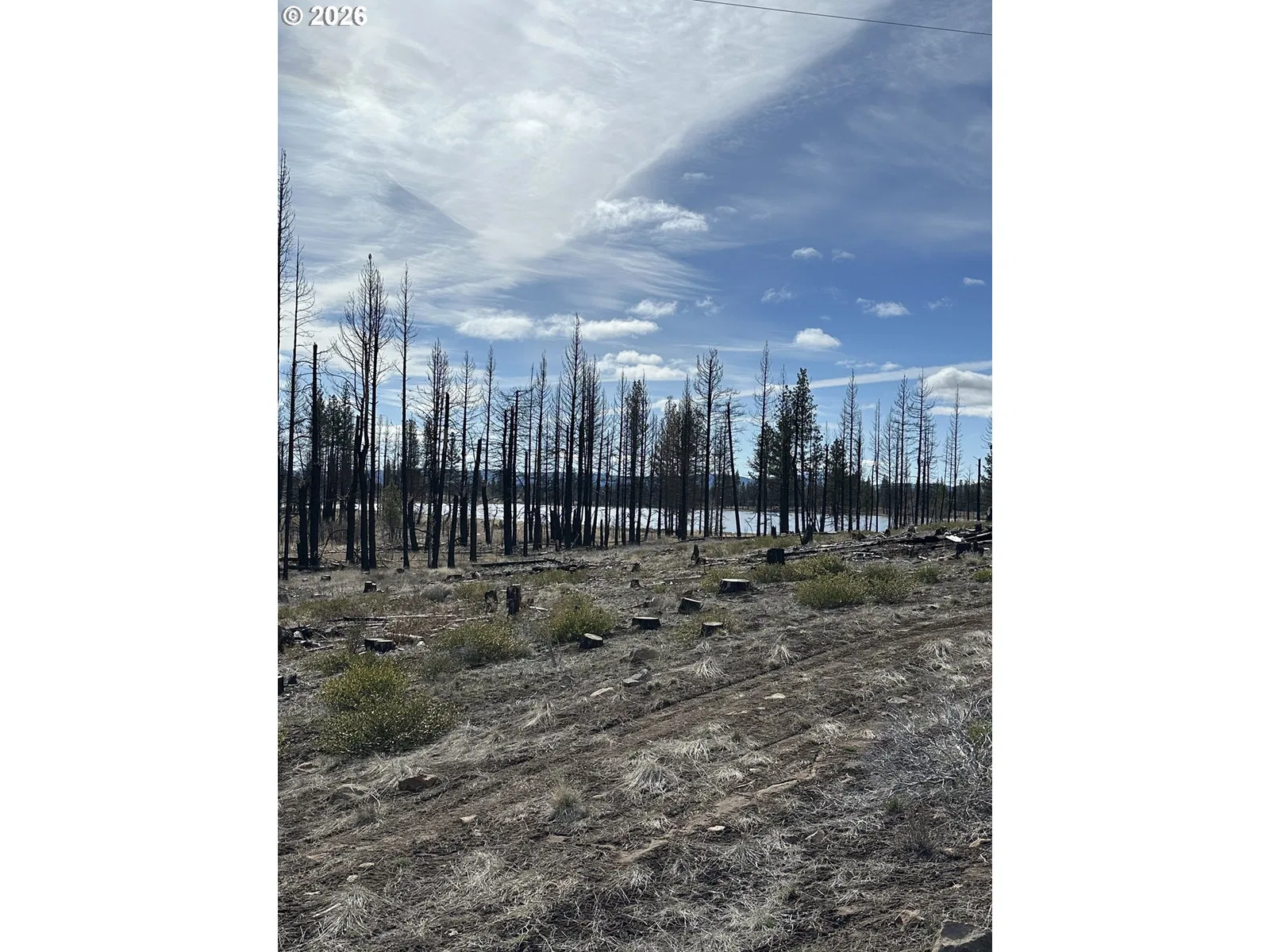 Hicks Rd 400, Bly, OR 97622 — photograph 33
