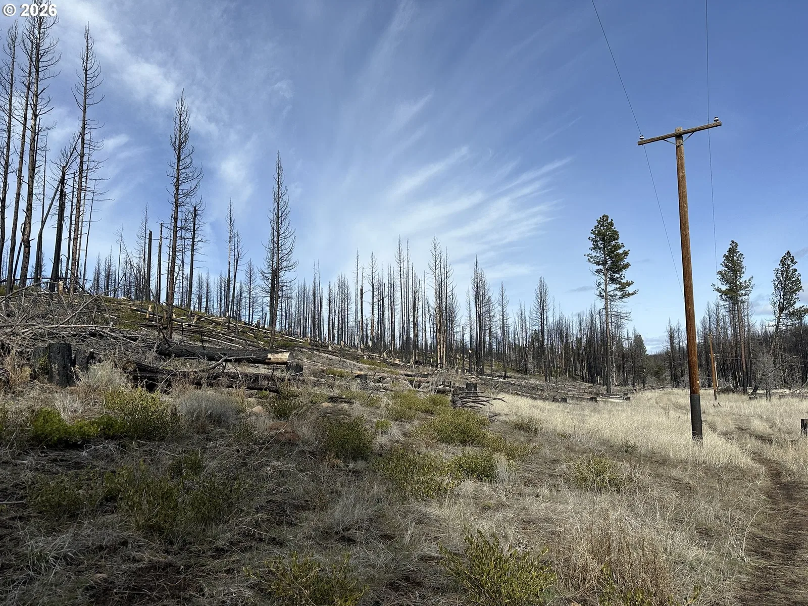 Hicks Rd 400, Bly, OR 97622 — photograph 34